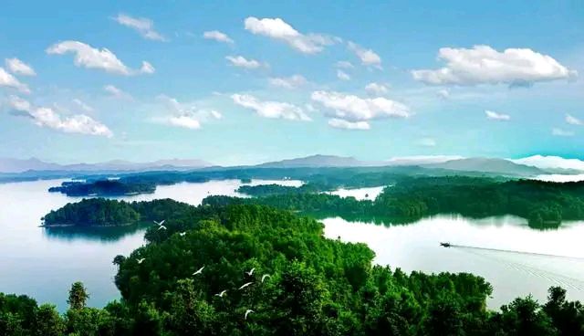 鲇鱼山水库