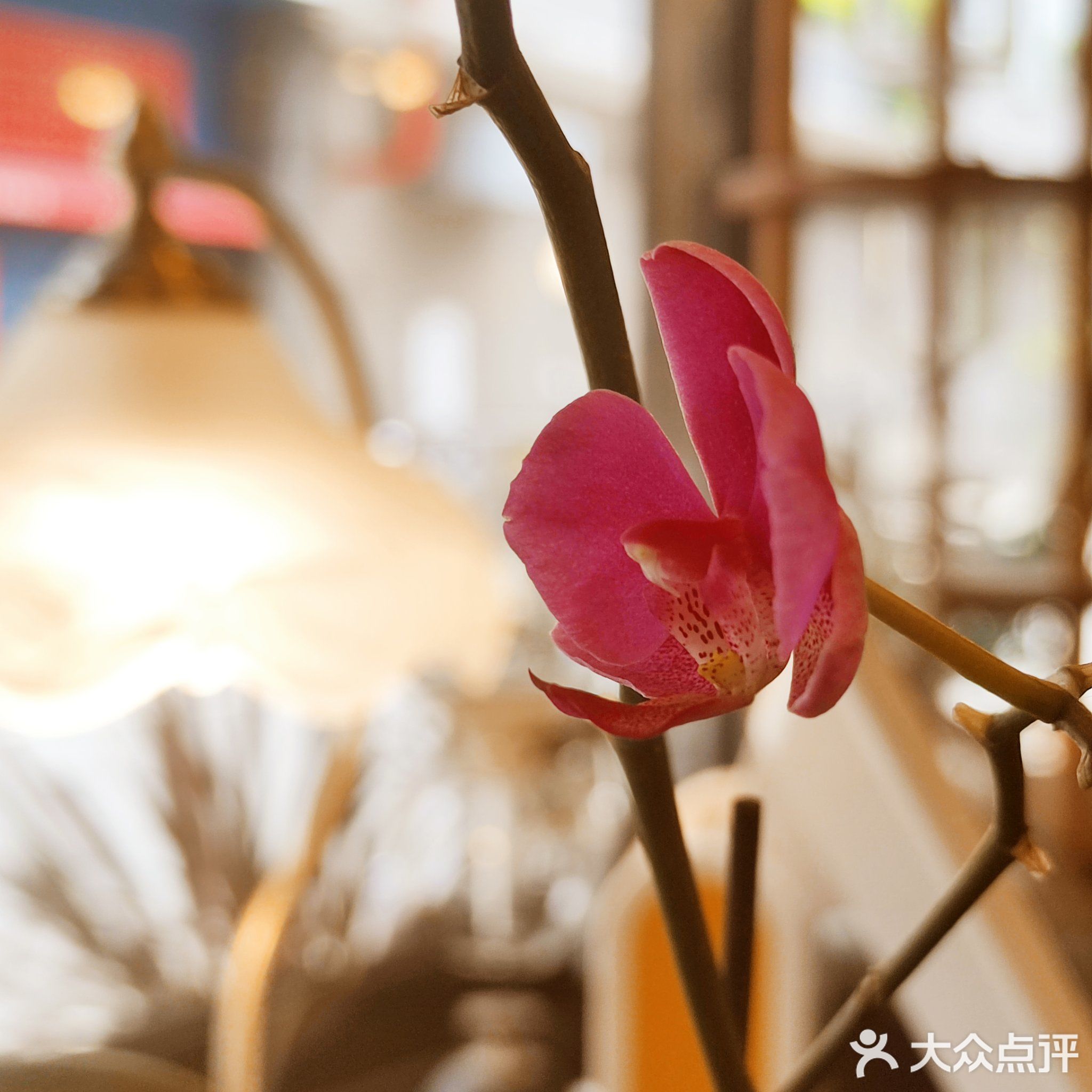 叁拾咖啡(锦绣沙溪店)