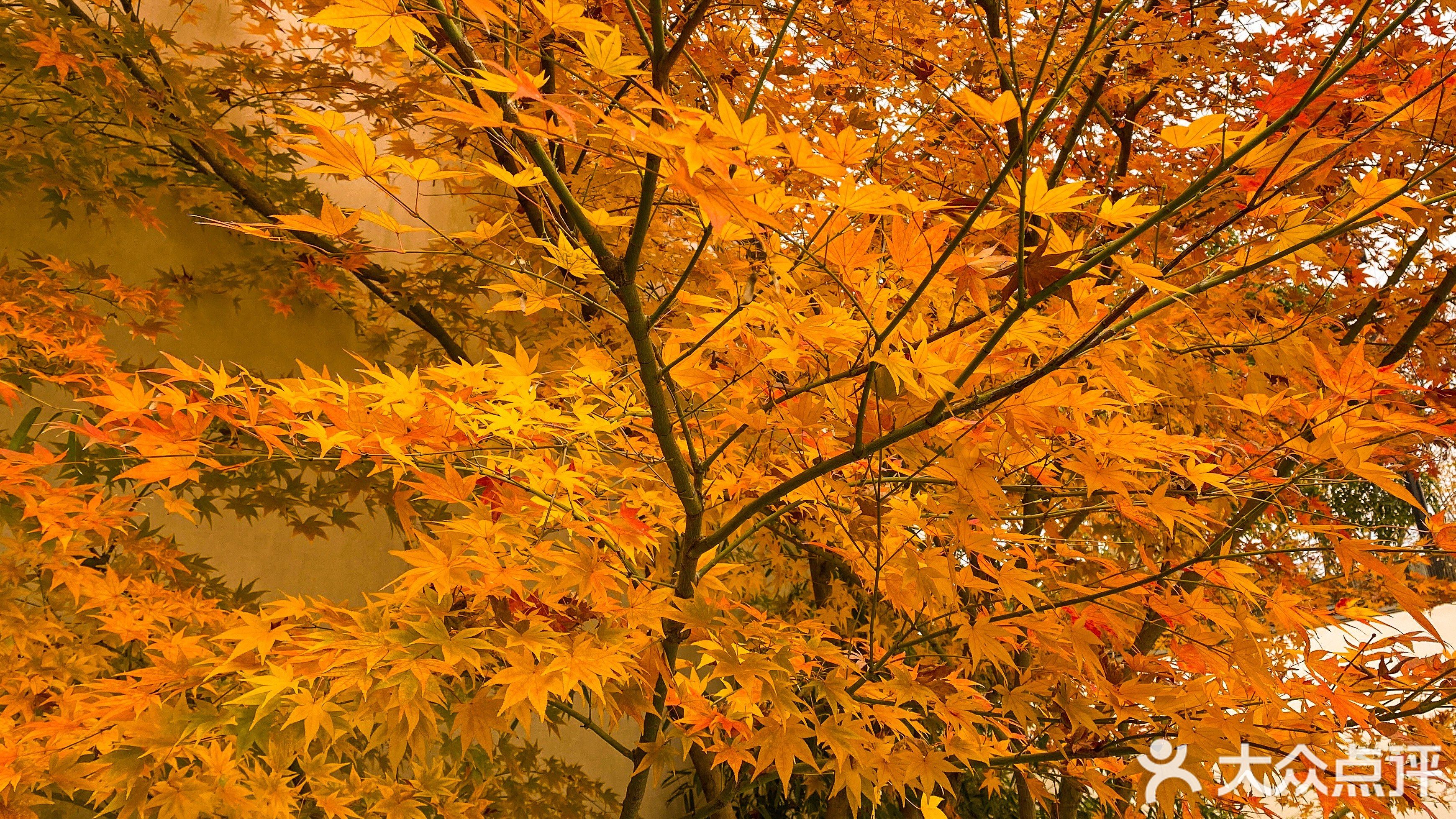 杭州桃李春风生活服务部