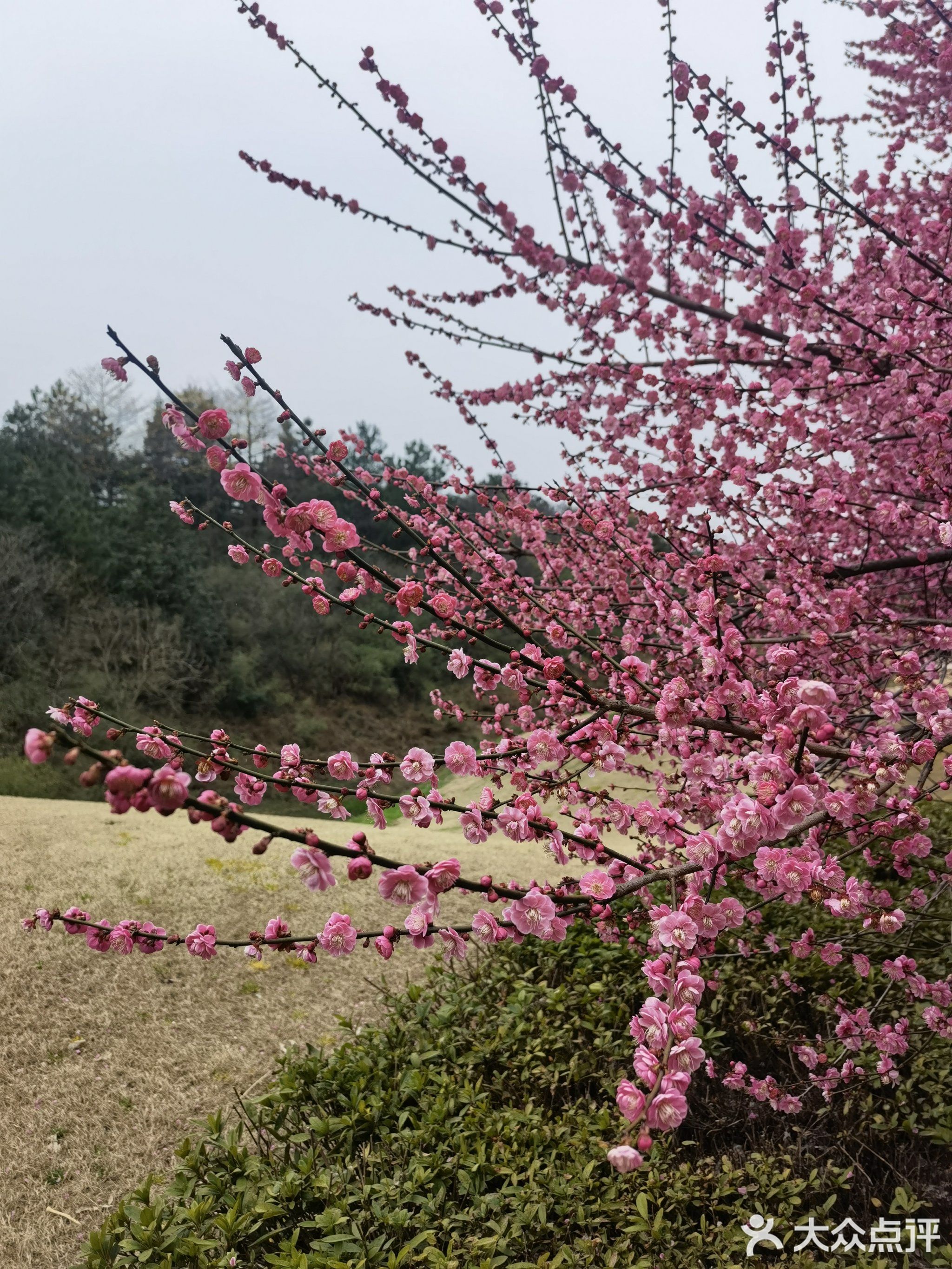 凤凰国际高尔夫乡村俱乐部