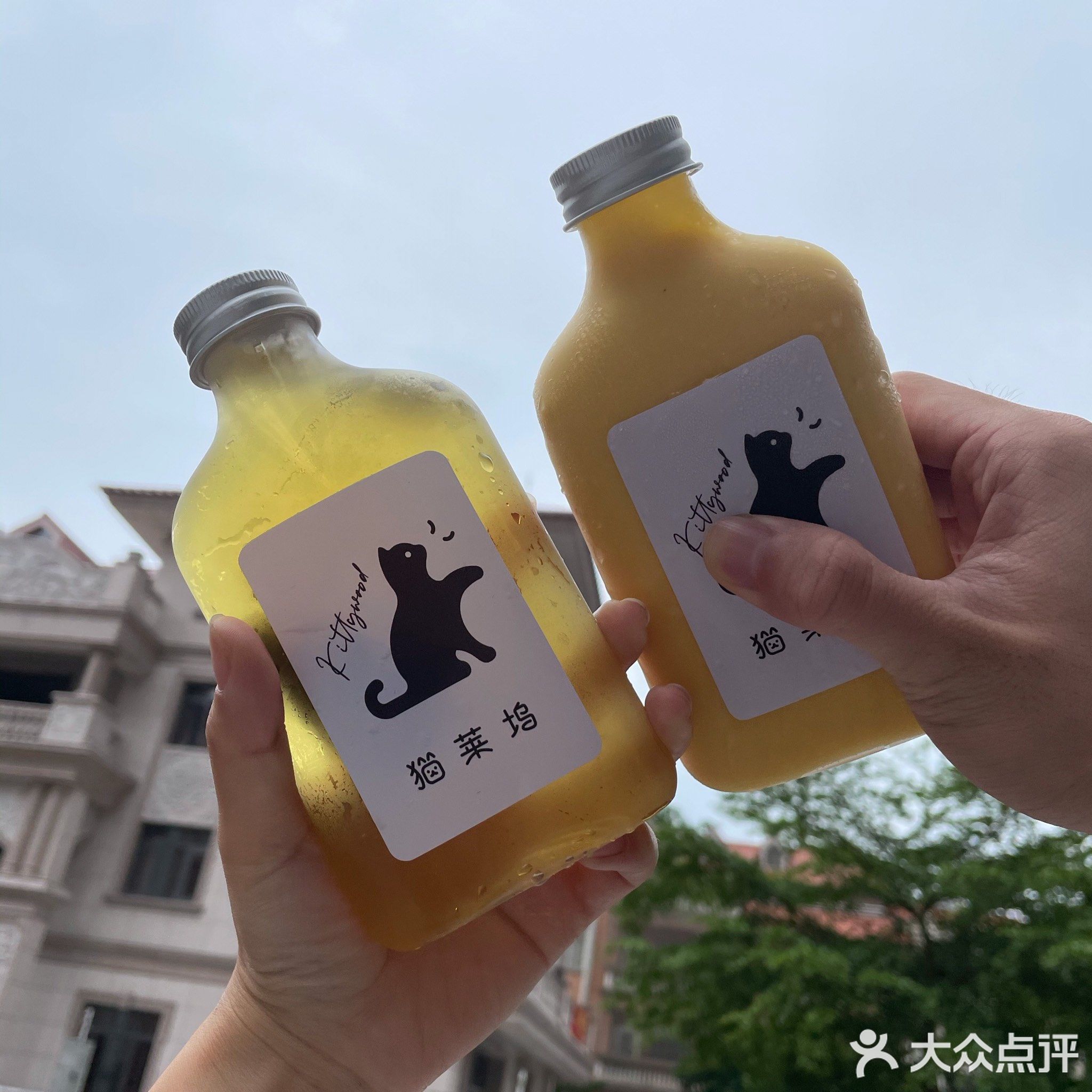 猫莱坞猫咖
