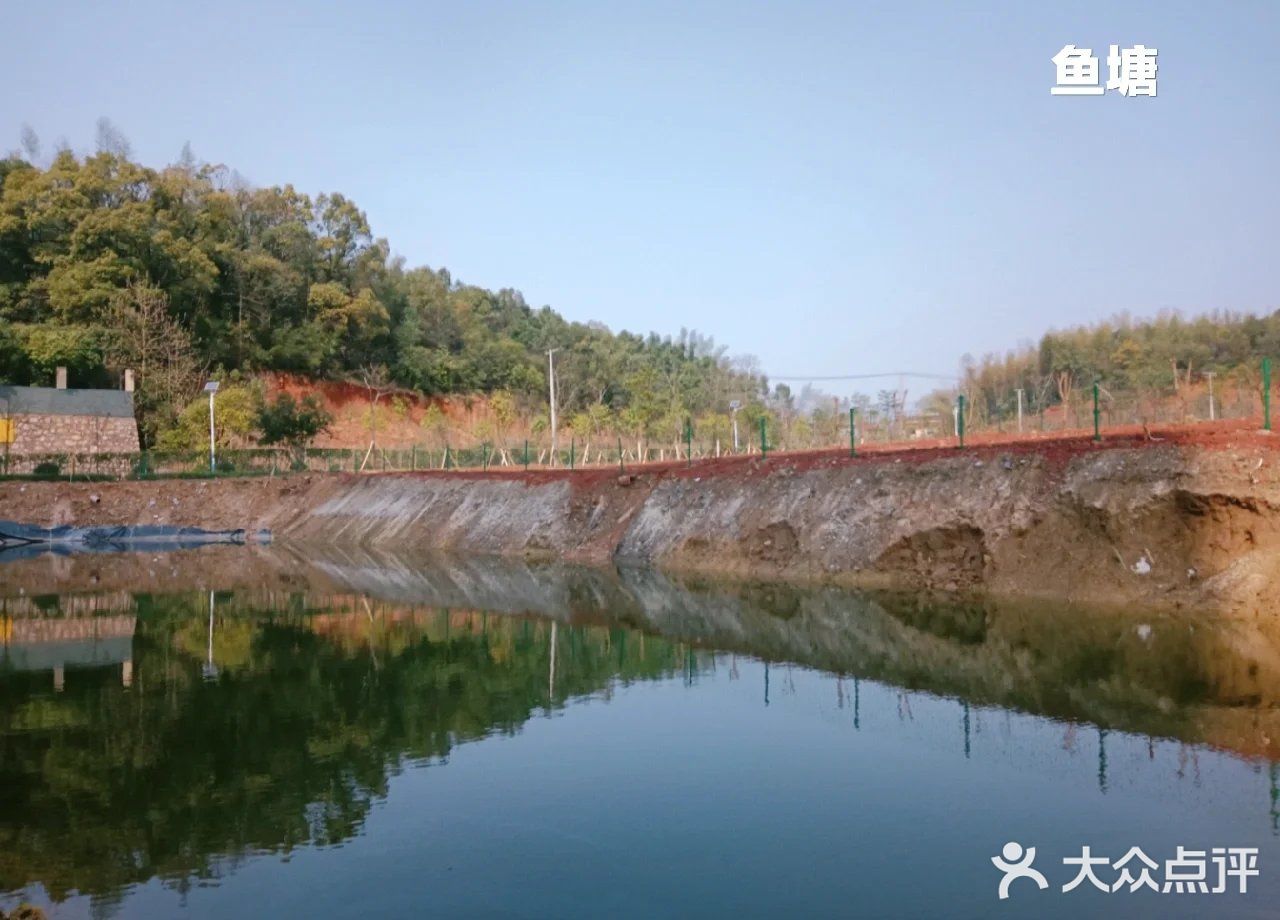 阳光康养