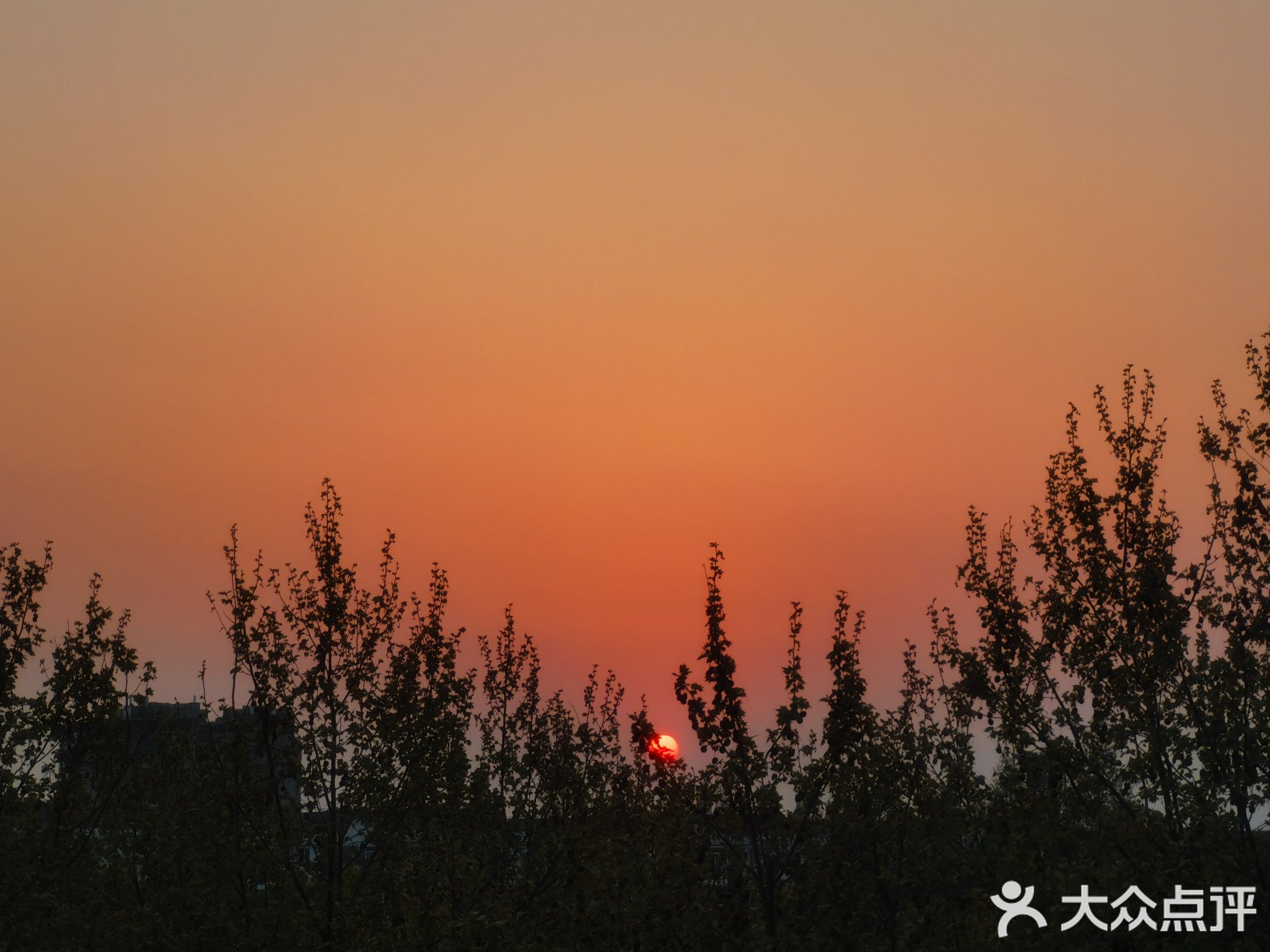 上海网球俱乐部