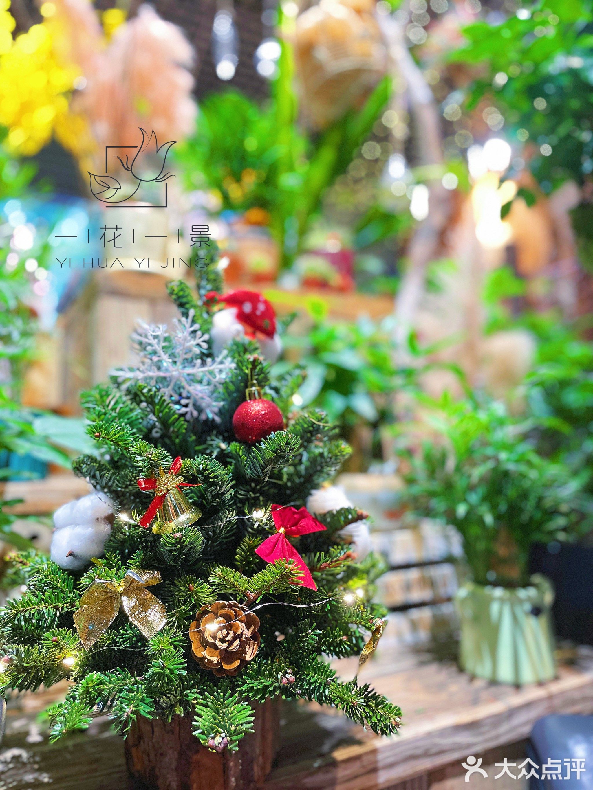 一花一景鲜花水景馆