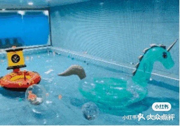 奥体中心游泳馆