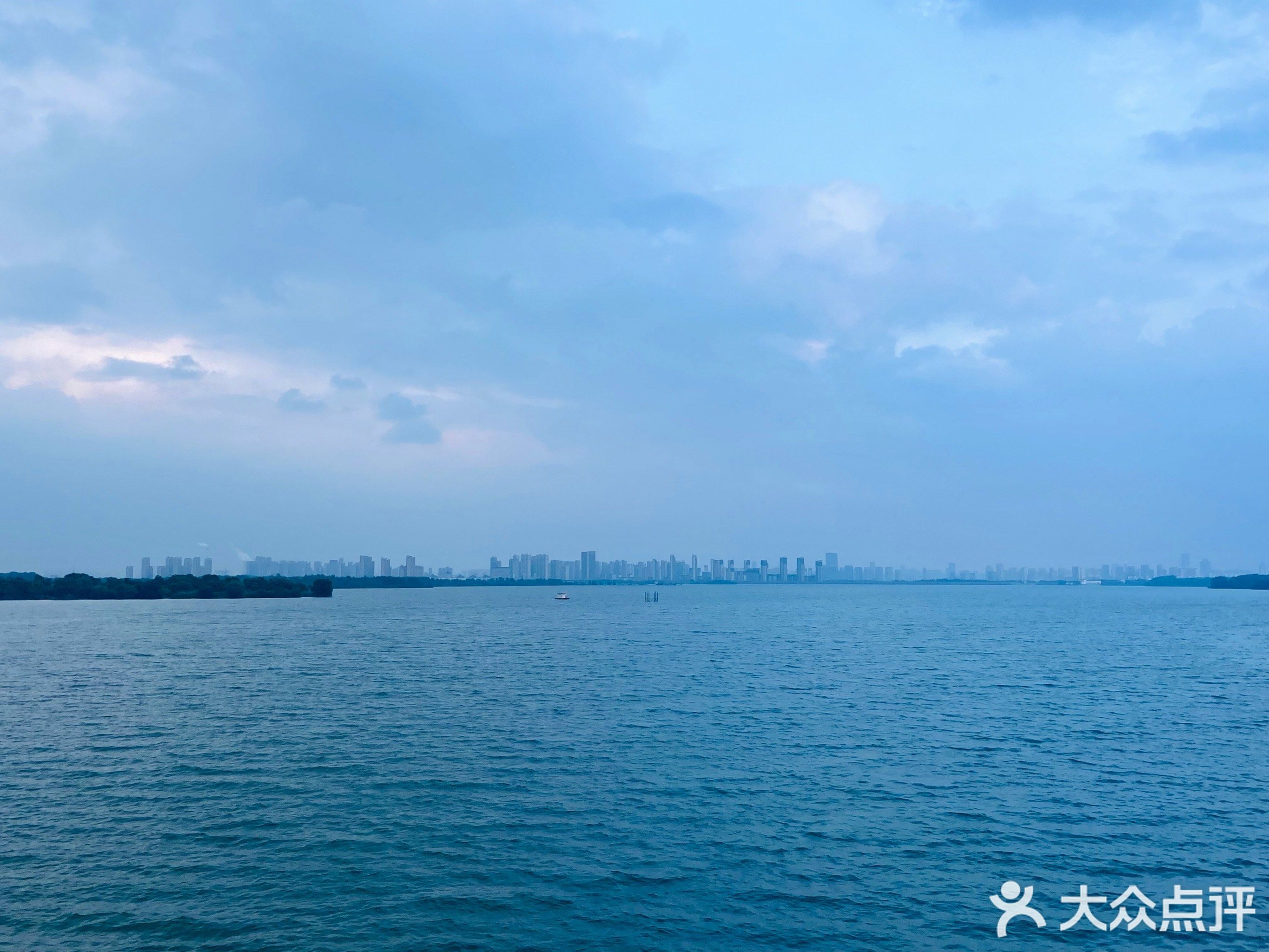 岛上书城