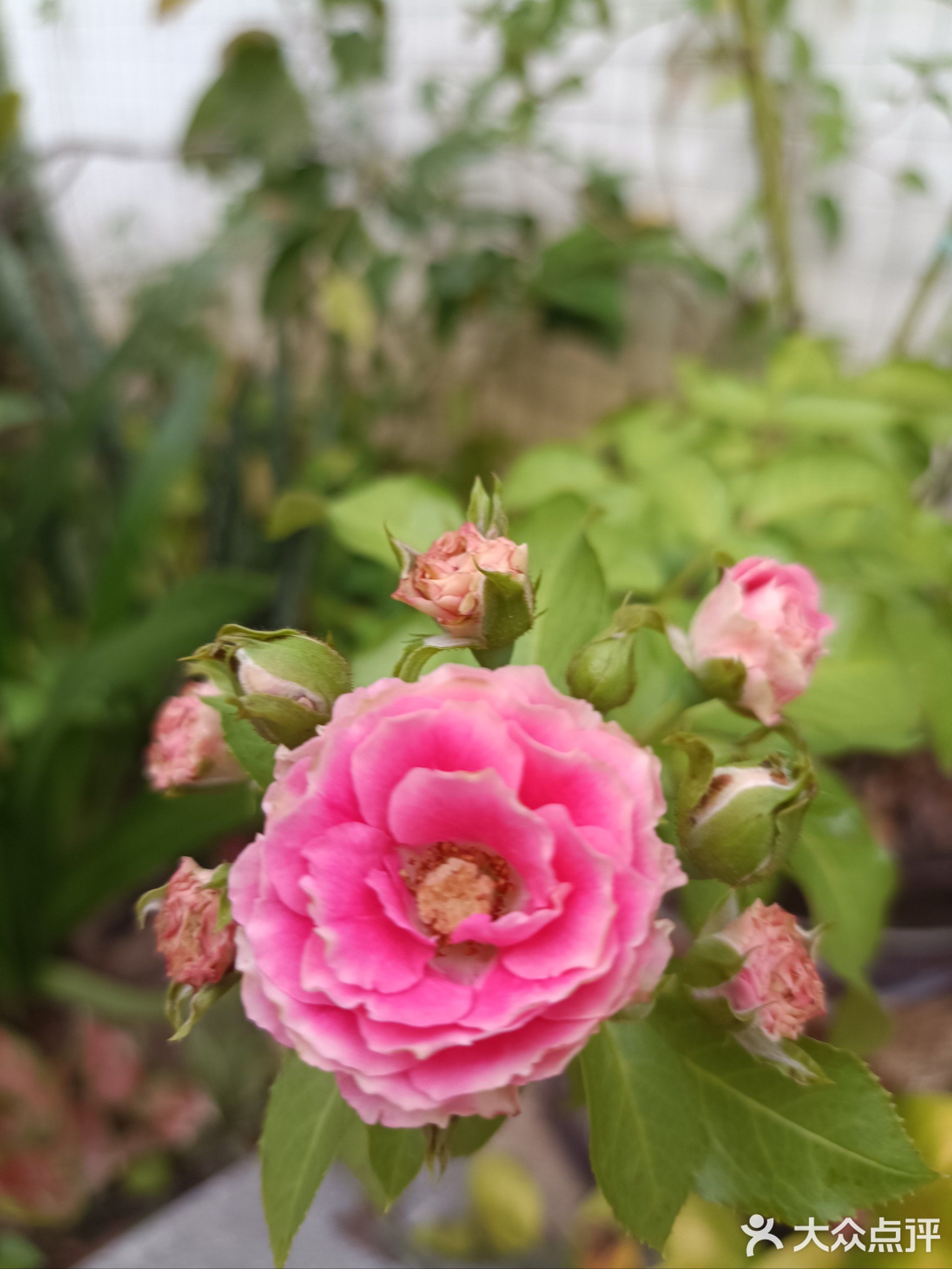 拾年小院私房菜