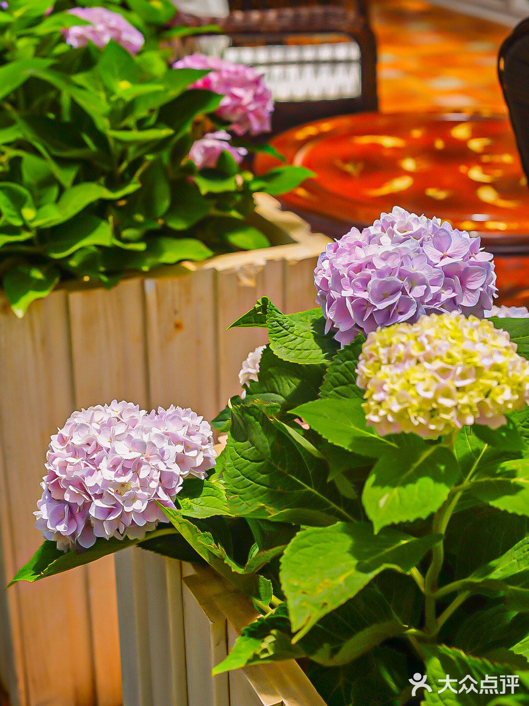 花城里陌上花开·艺术餐厅(越秀北路店)