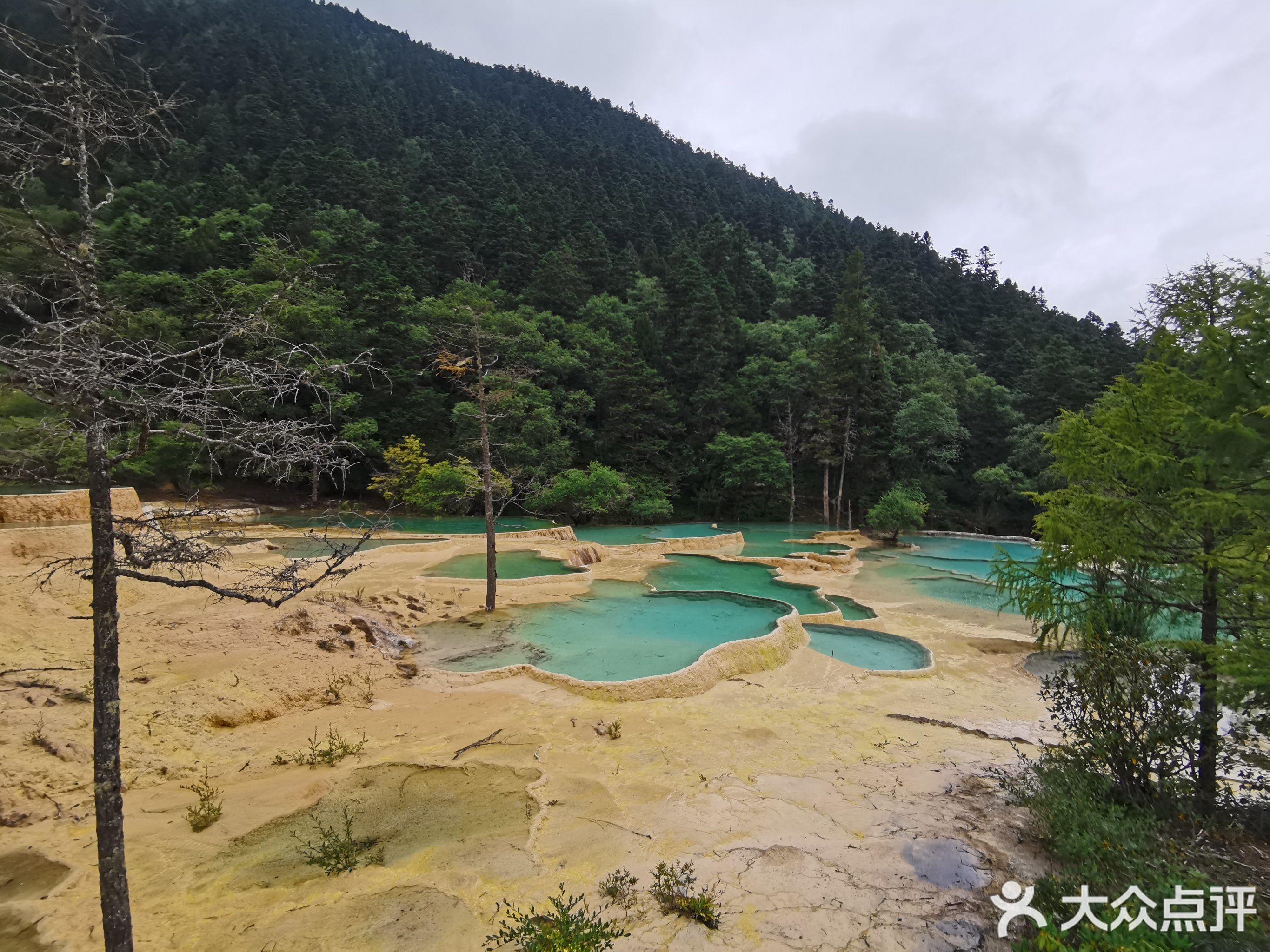 杭州小笼包(九寨沟店)
