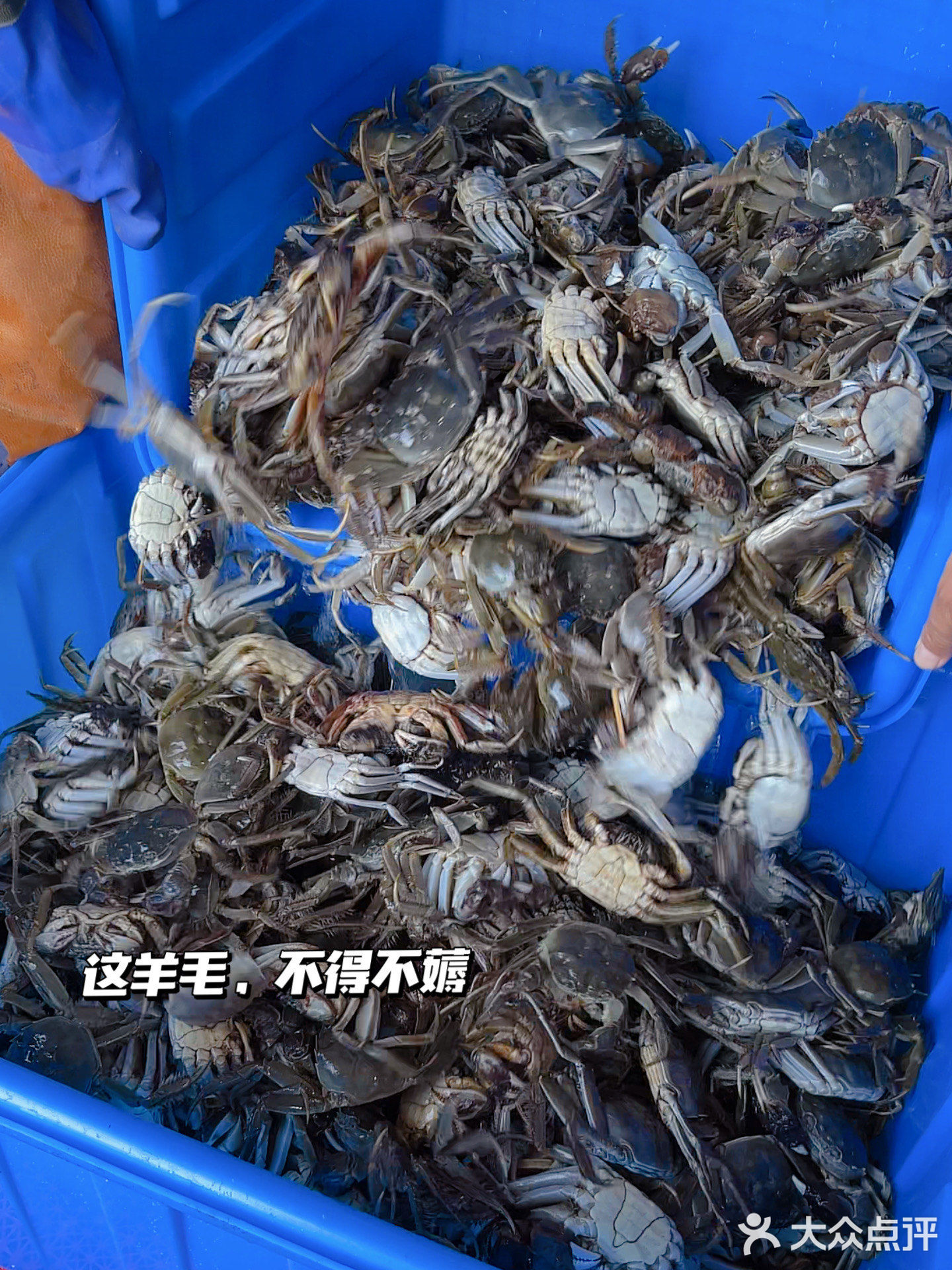 华宇源东港海鲜批发行