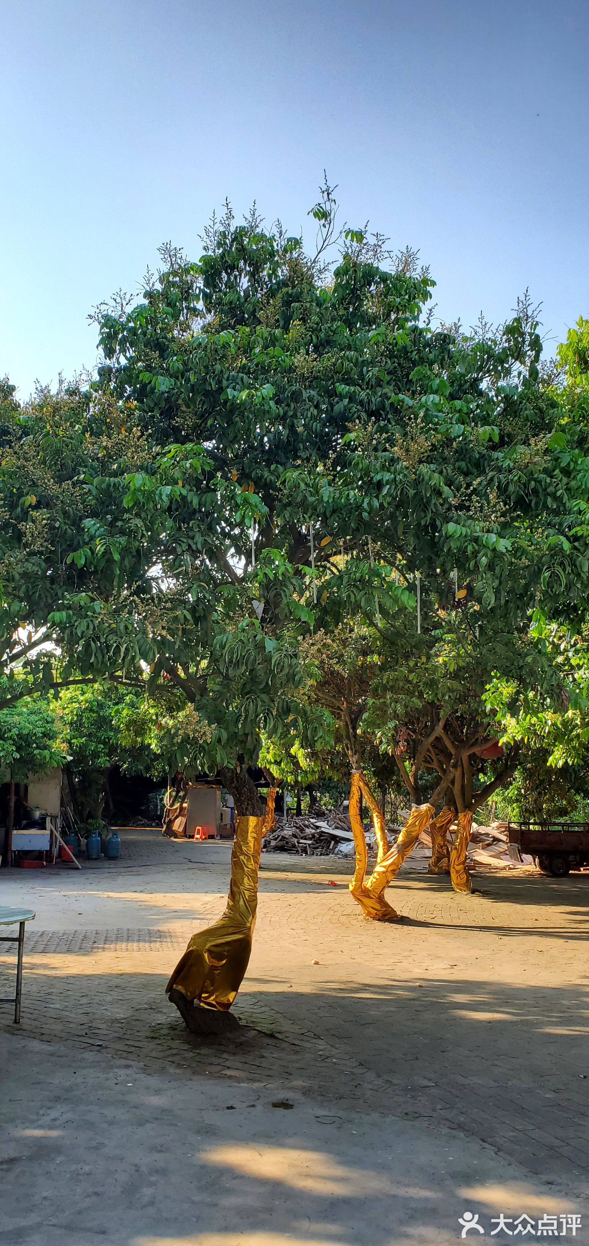 源态园烧烤农庄