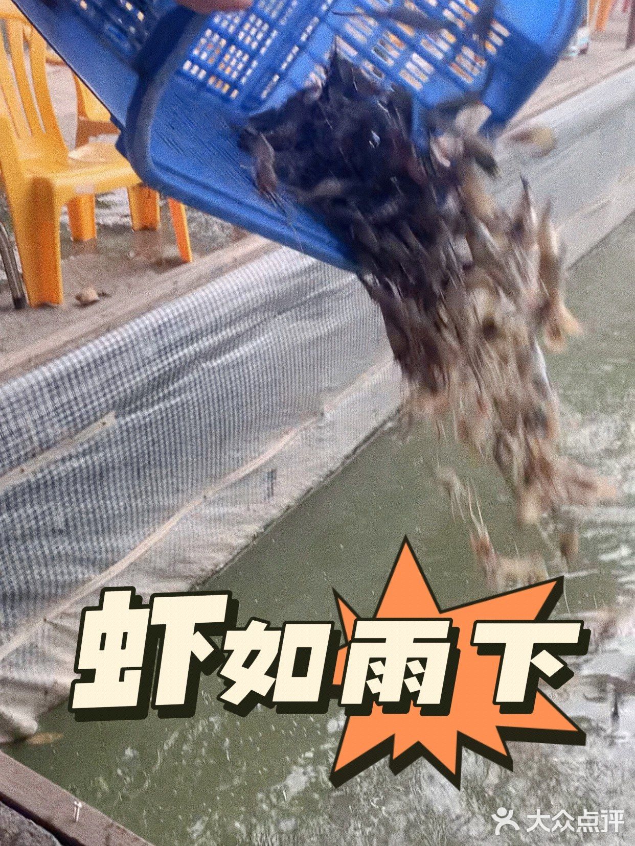 喜悦钓虾场