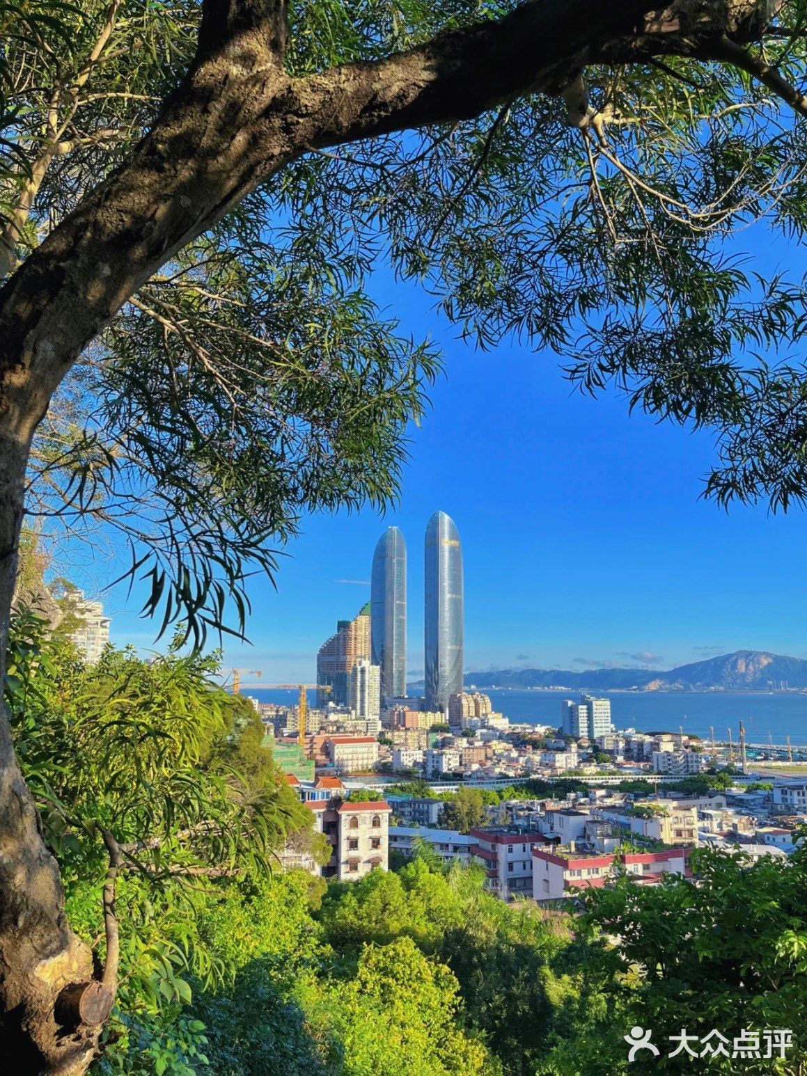 东坪山花卉批发中心