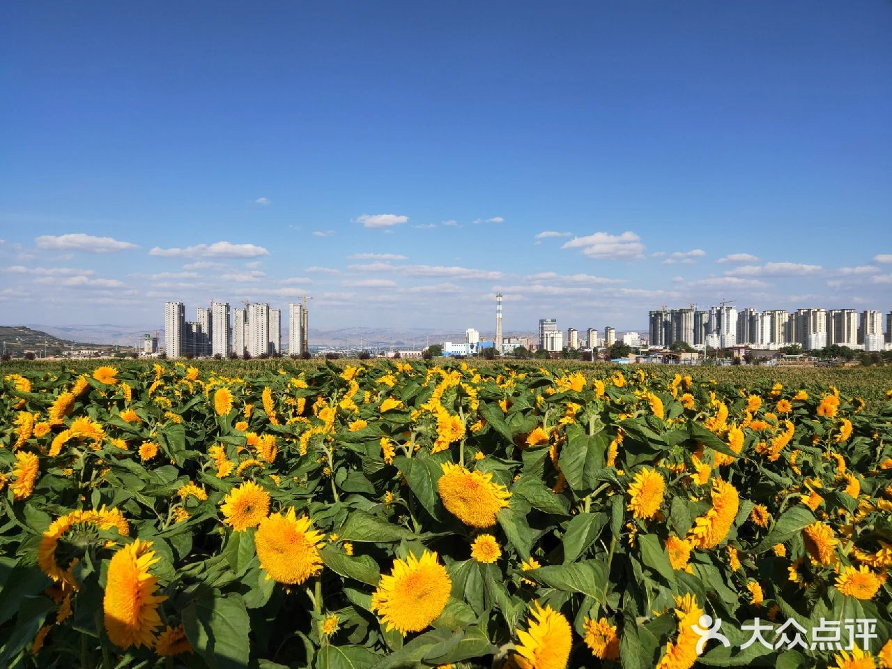 兰州大学(一分部)