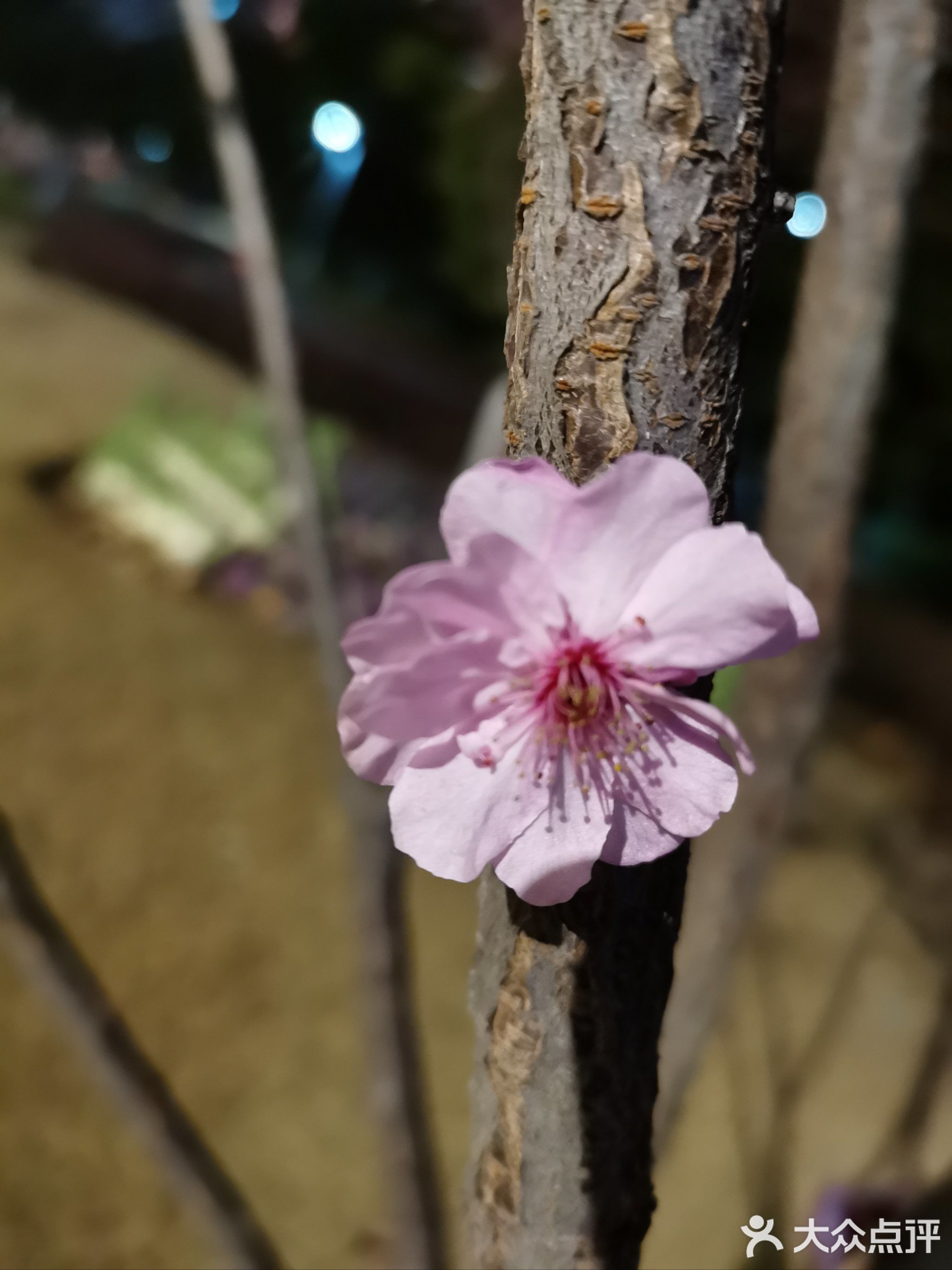 南京金融城