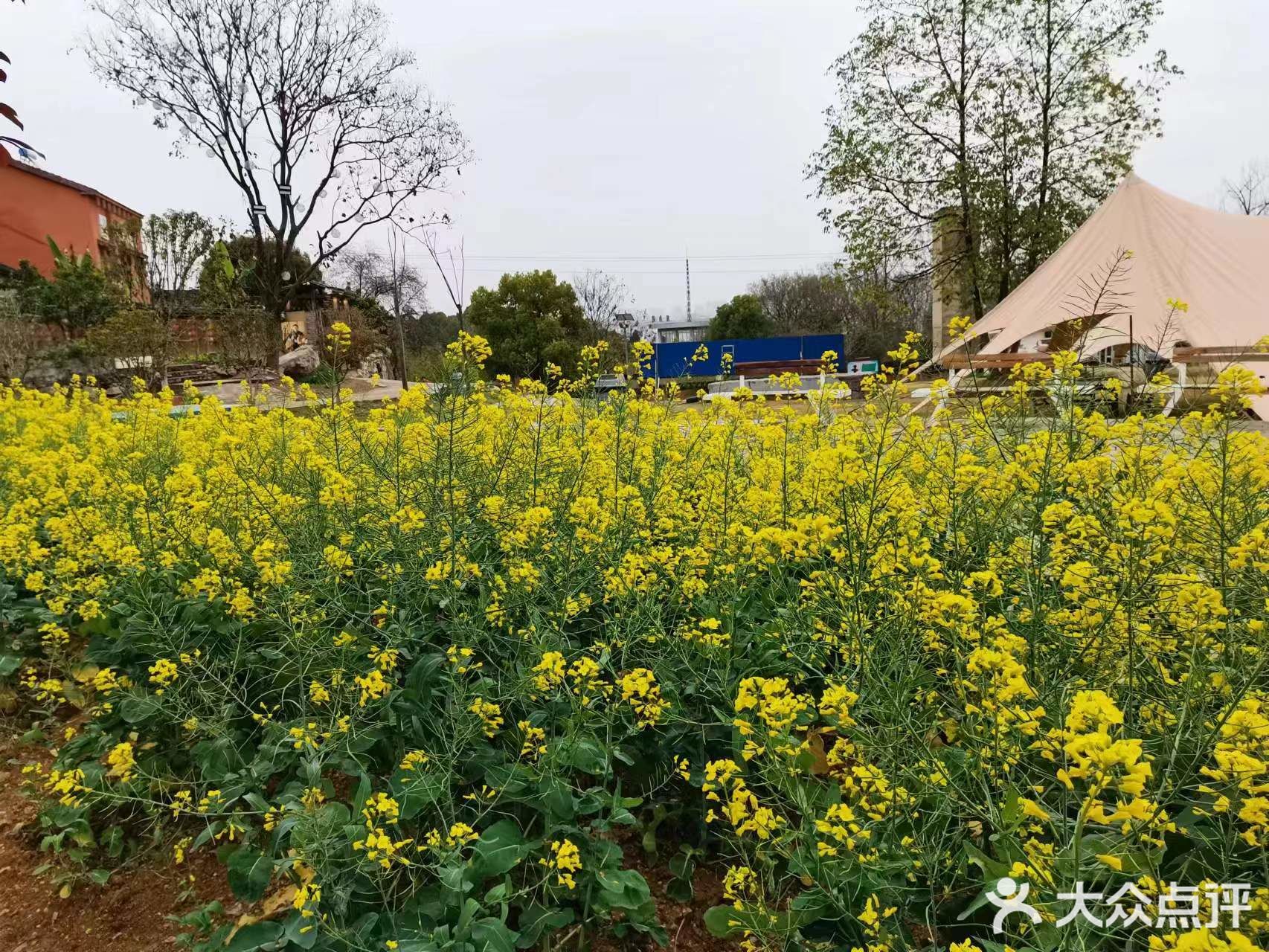土菜院子(牛扎坪店)