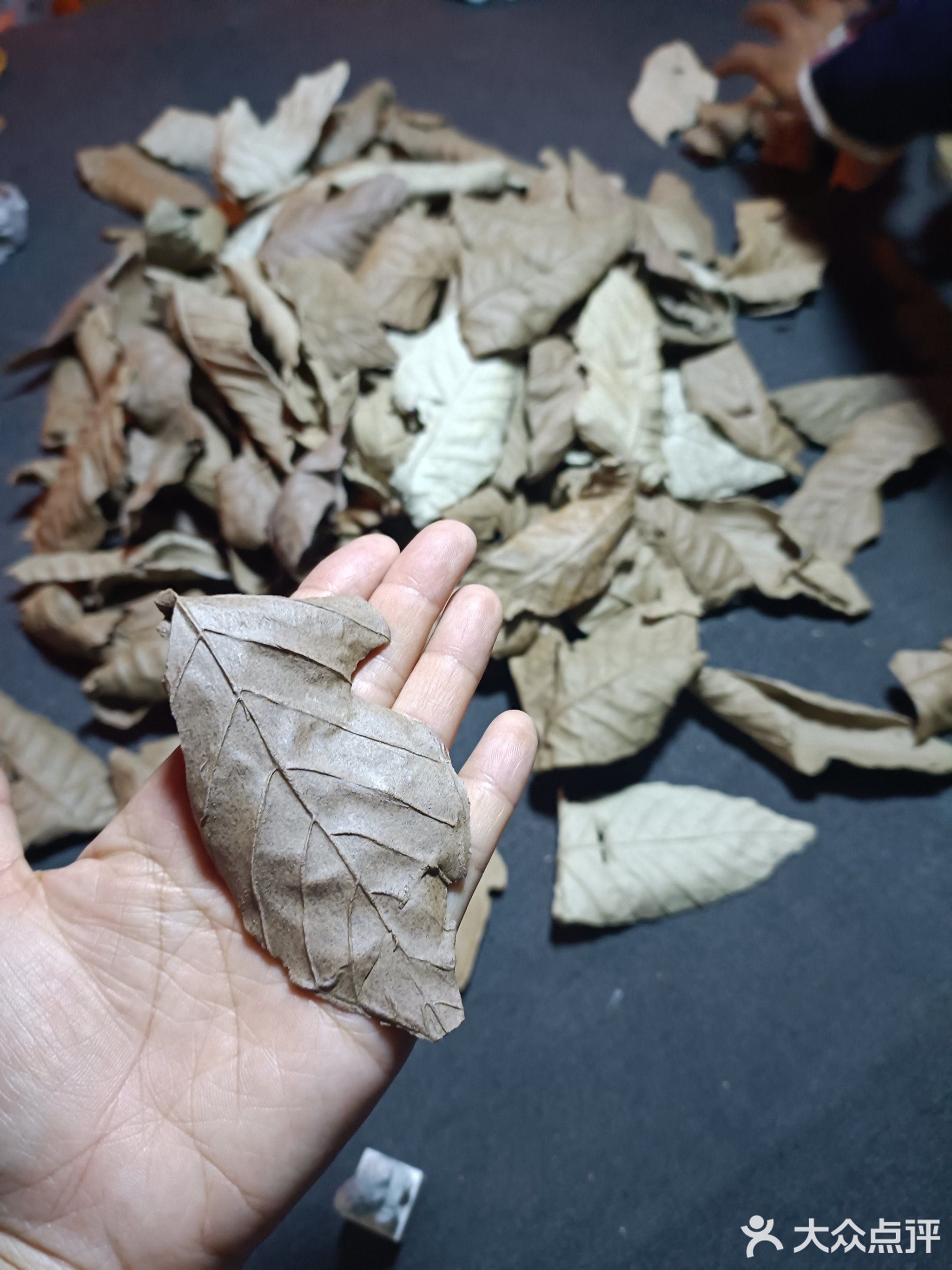 景德镇市第十一小学