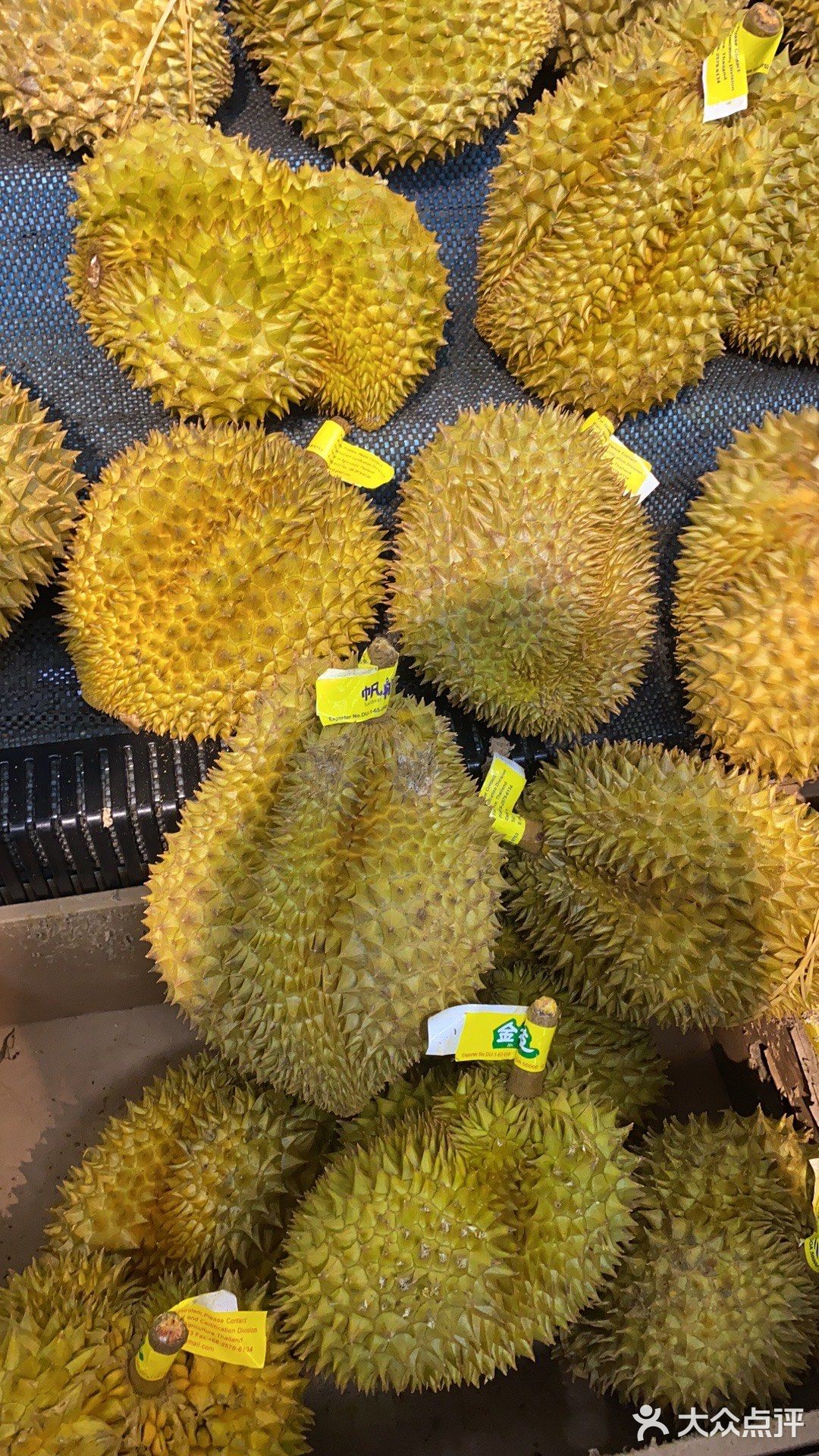 亿榕水果藏储