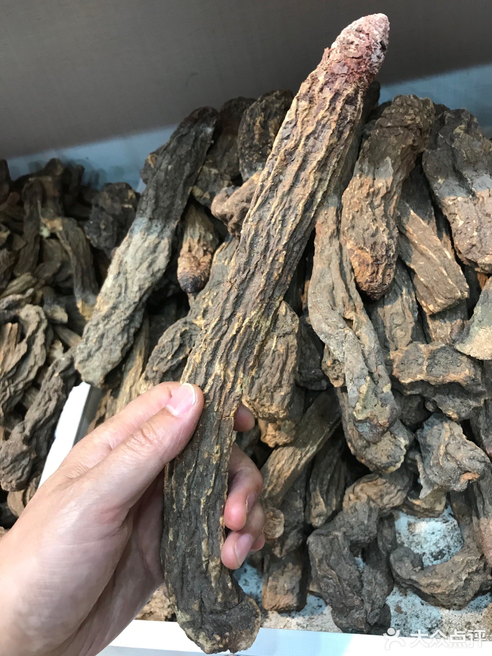 杏迎特产水果