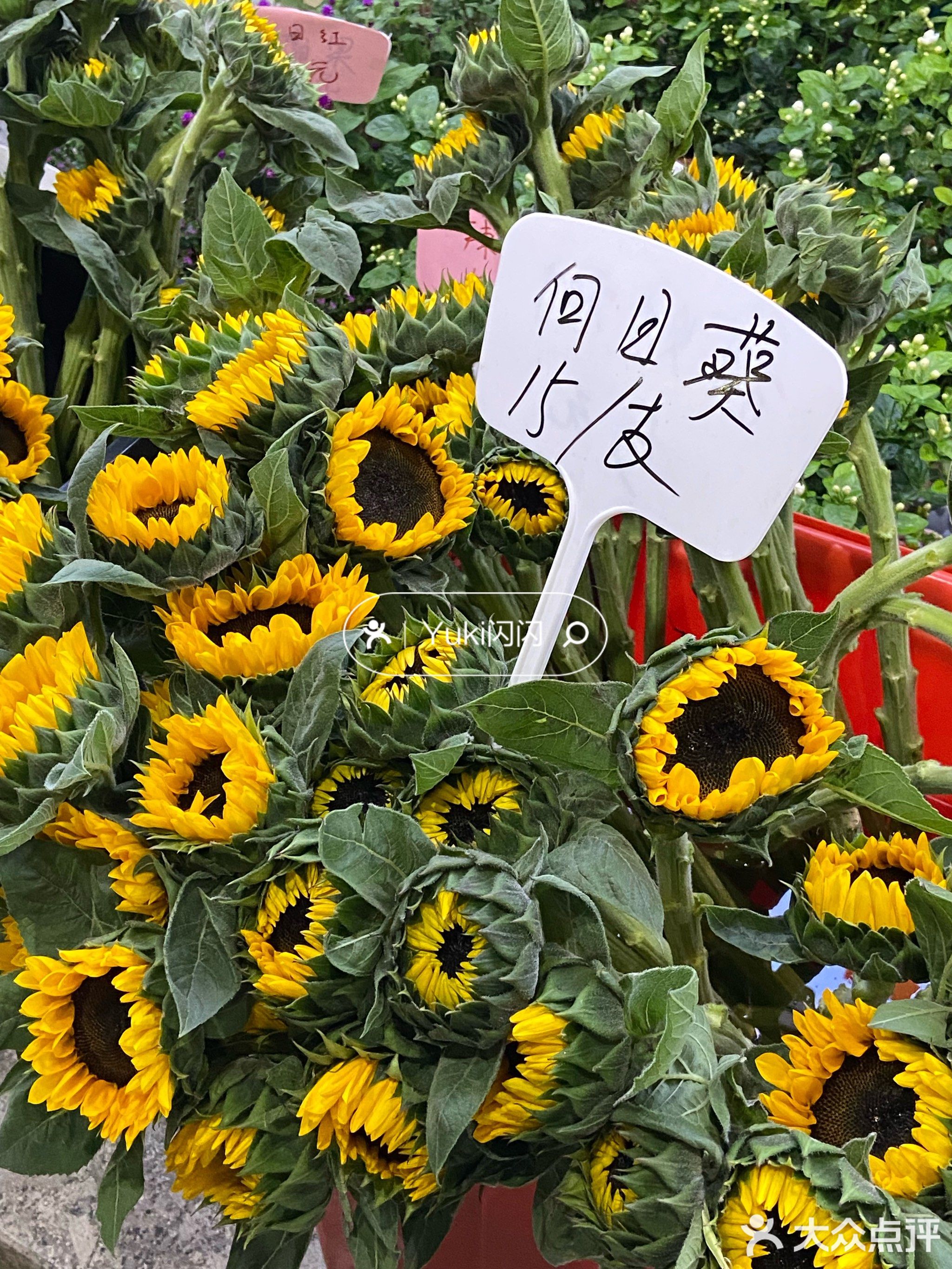 花王鲜花超市(创业二路店)