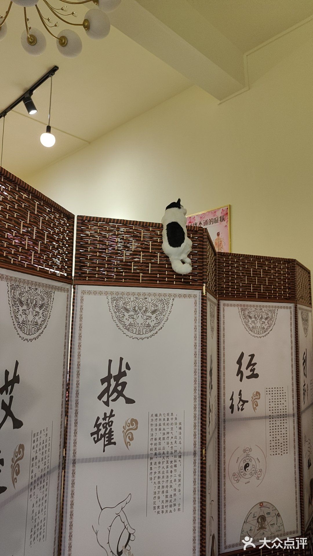 静心美容养生SPA