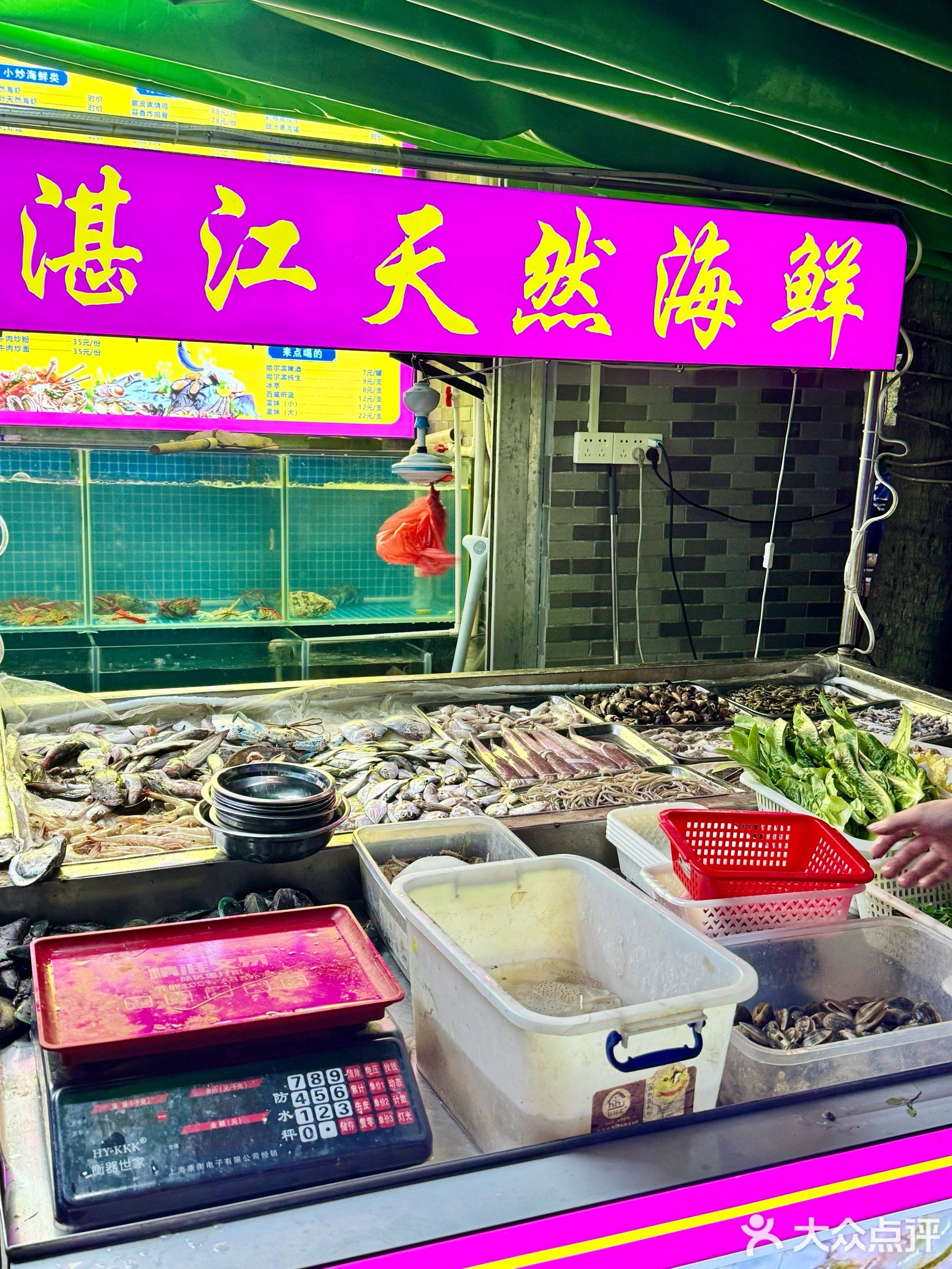 椰海风情