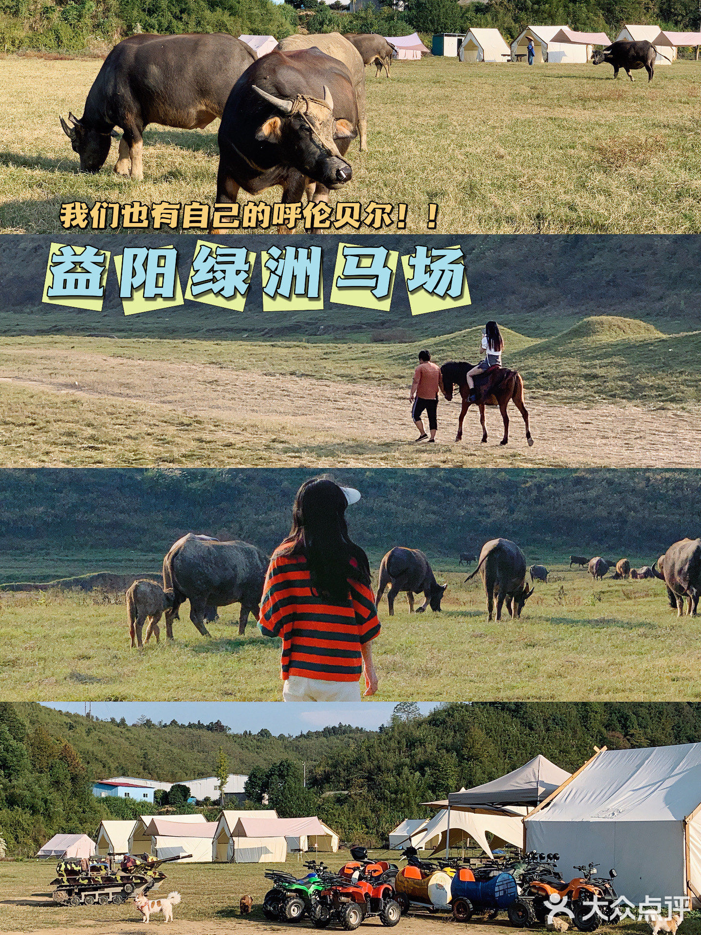 绿洲马场烧烤野炊