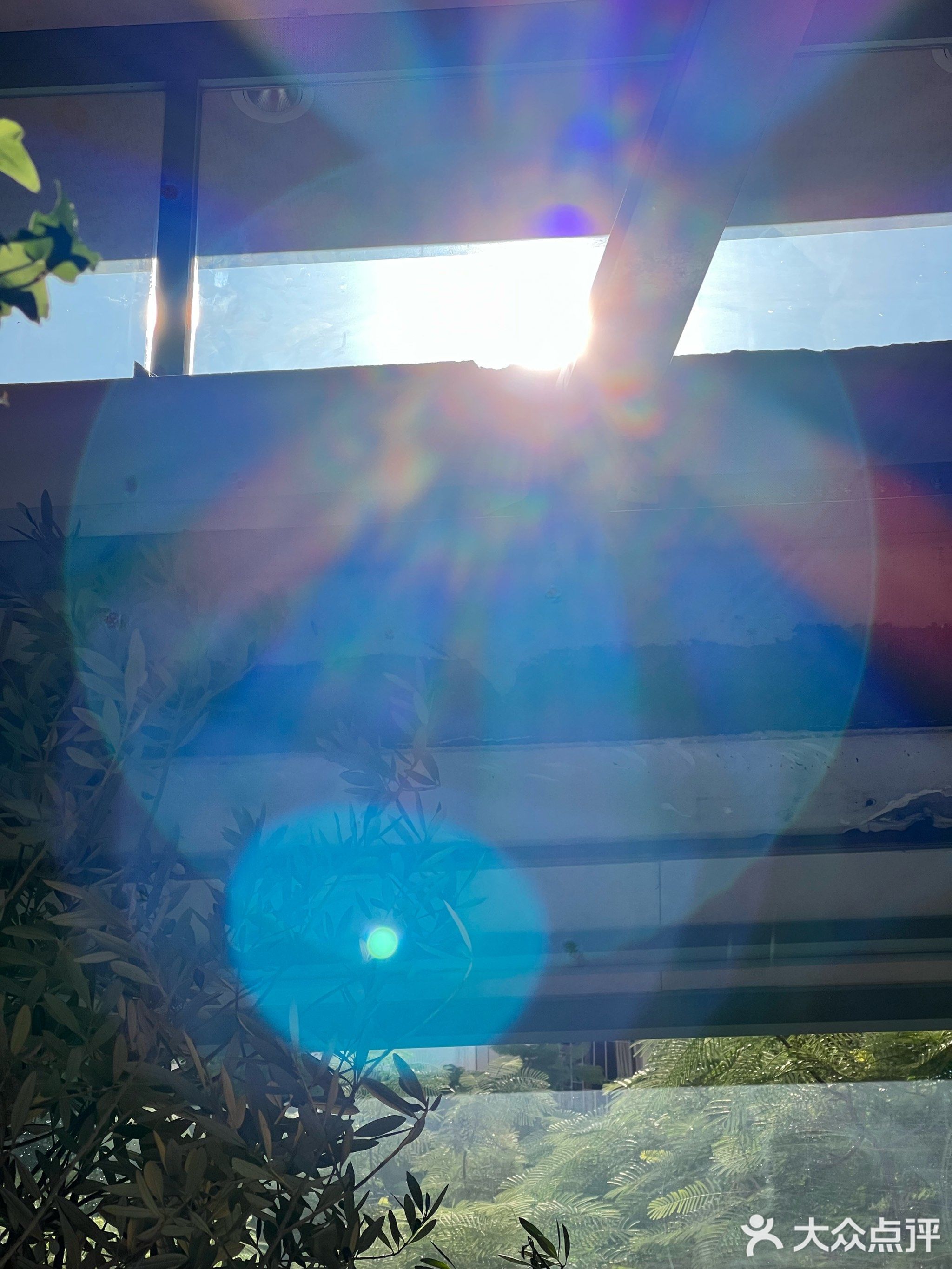 Bagi&Yogi(特贸苑店)