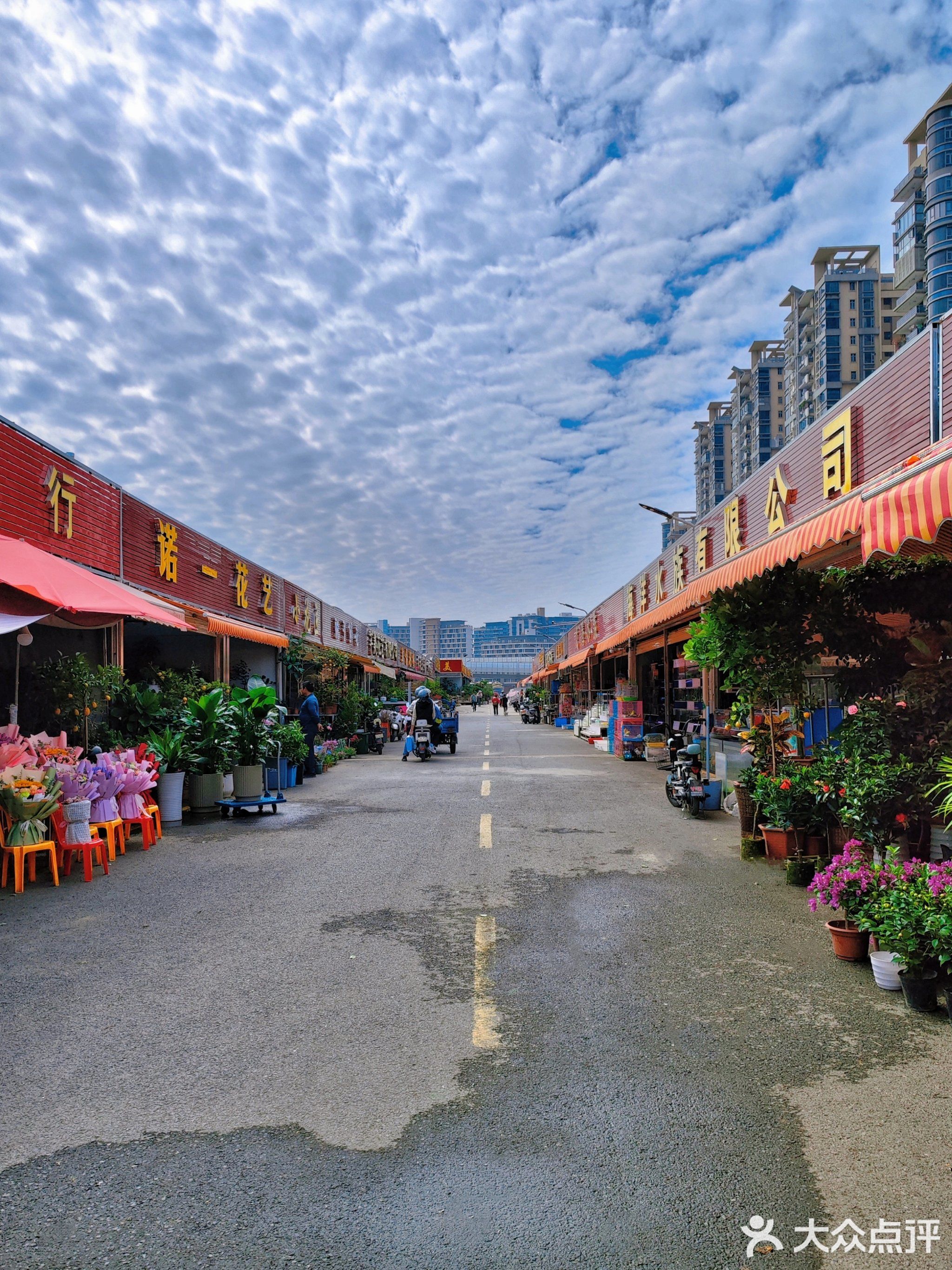 宝安花市(新市场)