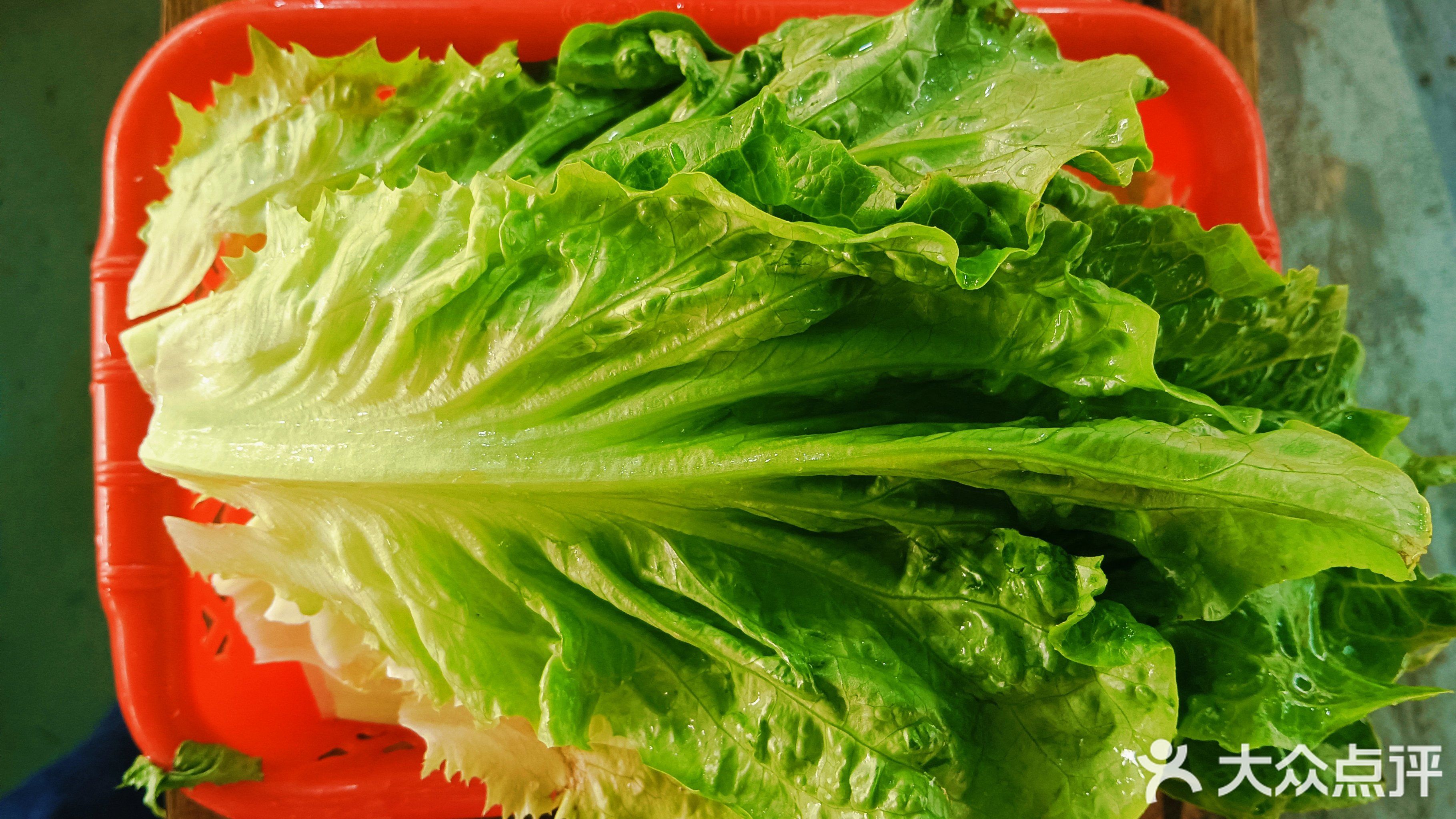 东山羊莊(新有中路店)