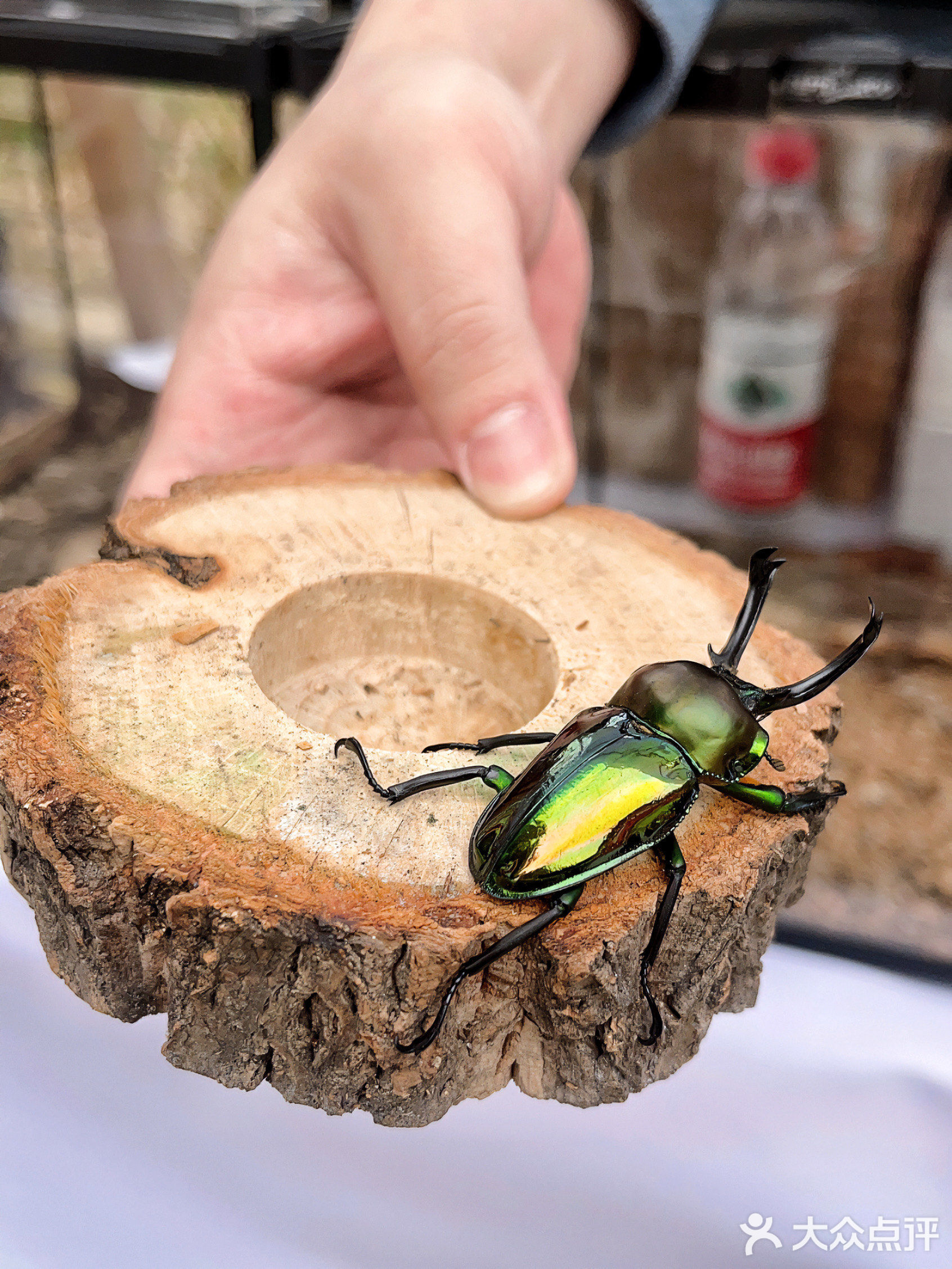 自然而然集学苑