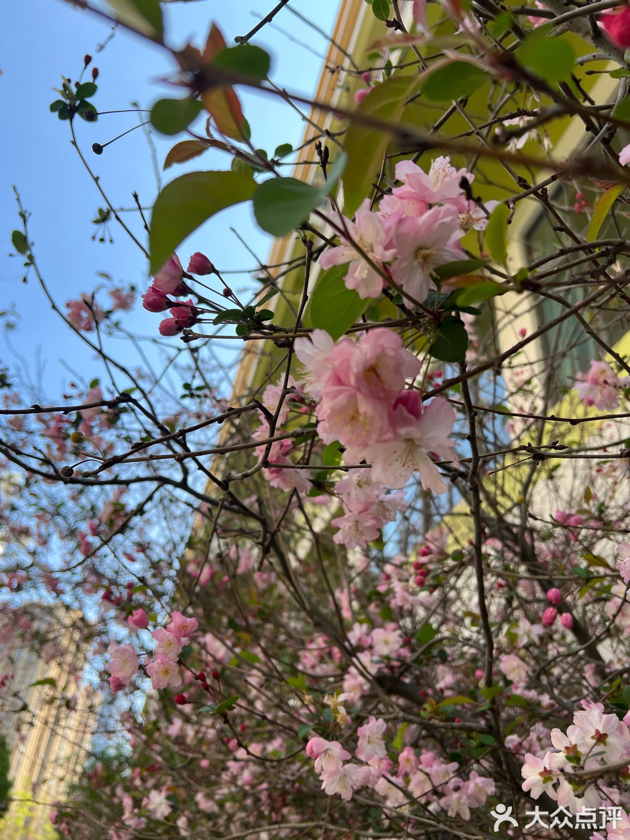 昆明润城学校