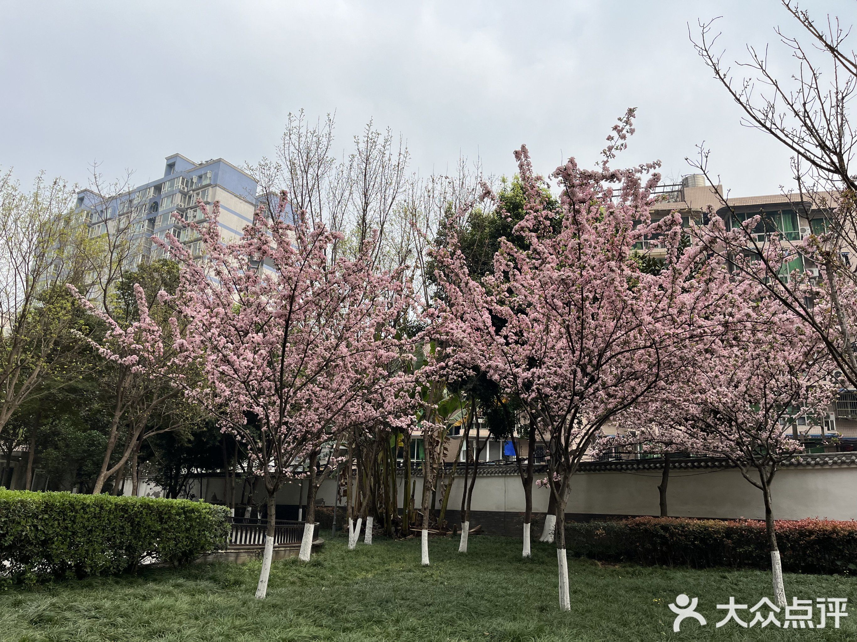 碧蔓汀篮球场