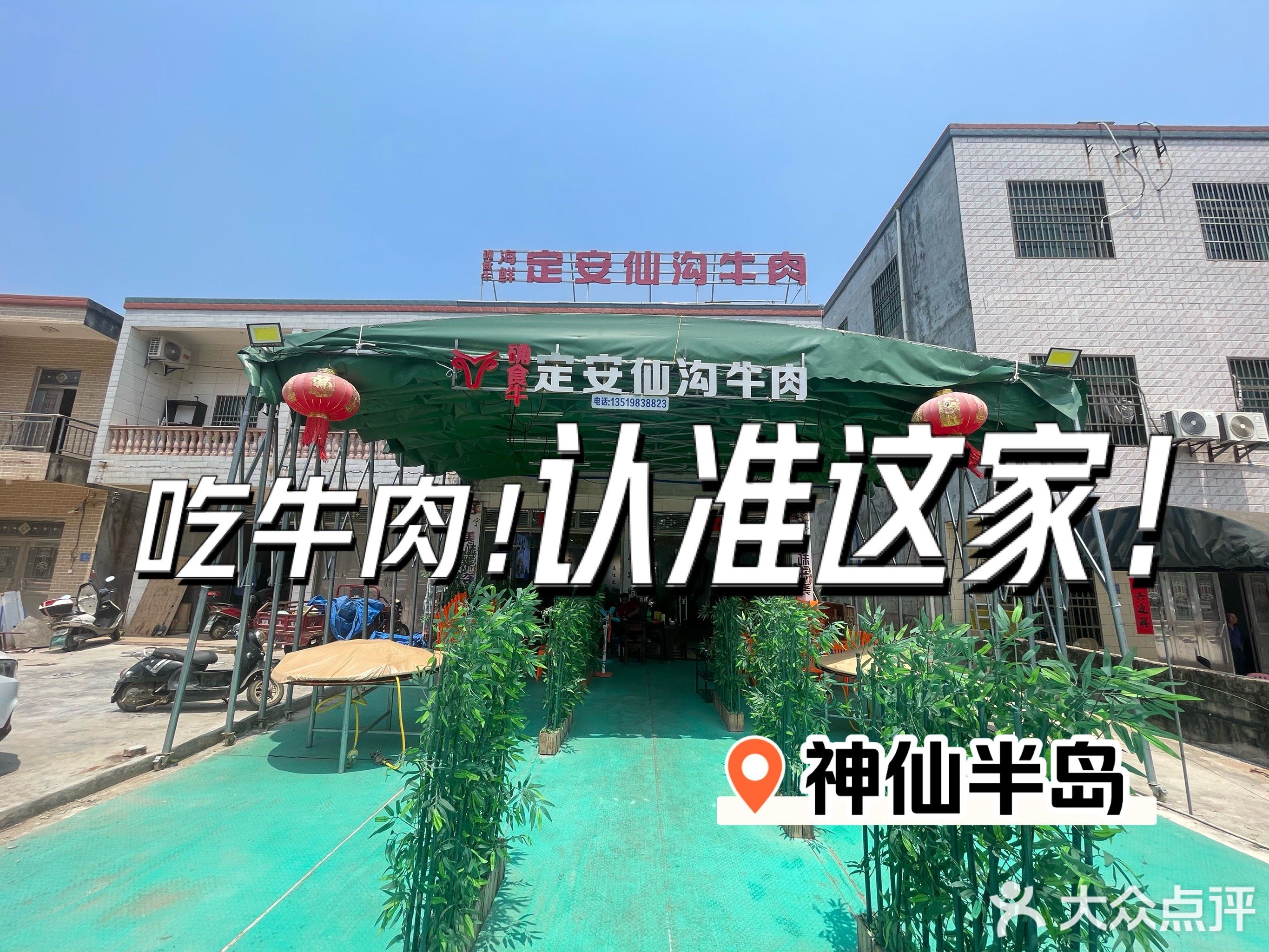 确食牛定安仙沟牛肉