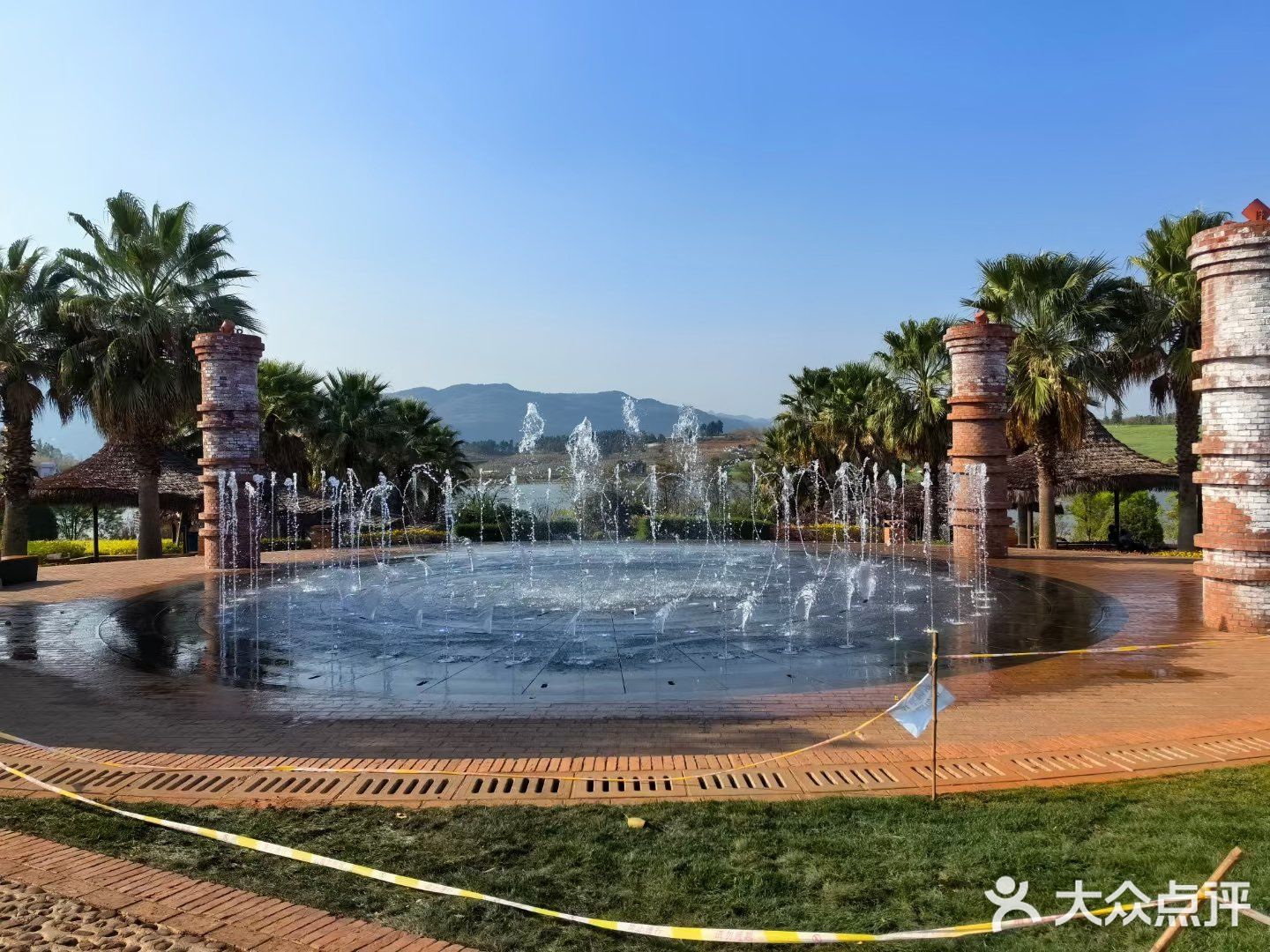 老陈葡萄园