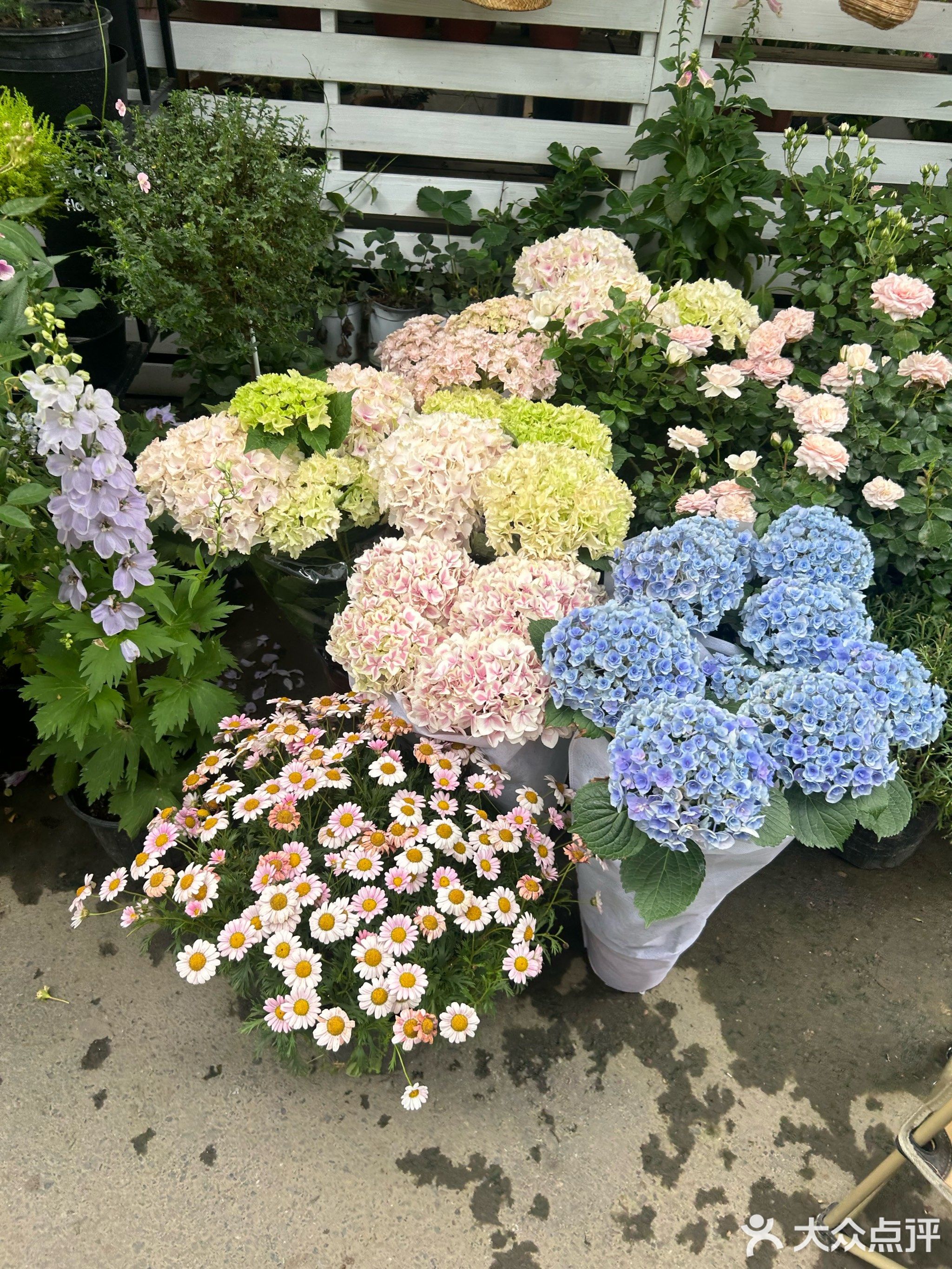 花语花卉市场