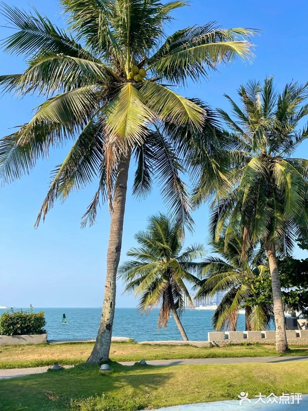 滨海篮球公园