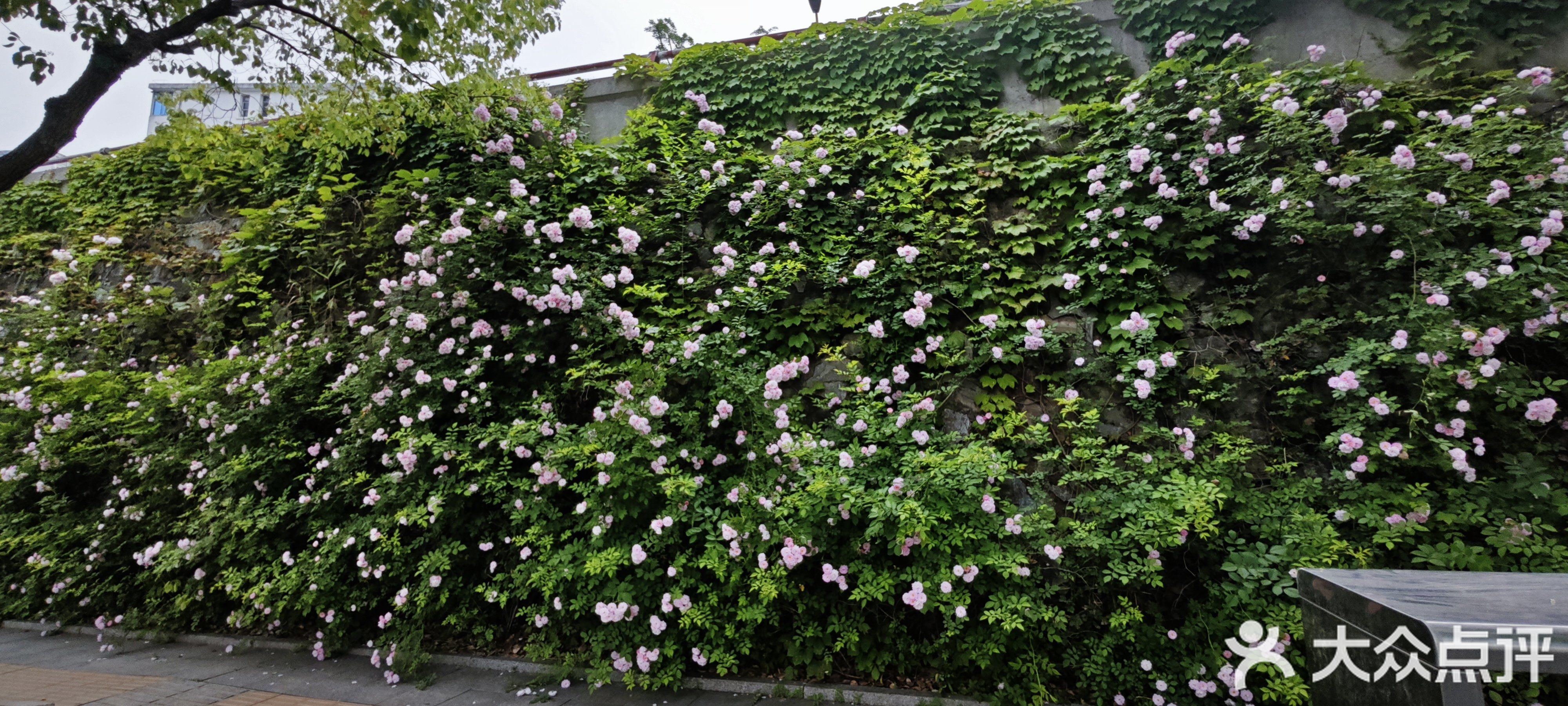 鸿鑫商业广场