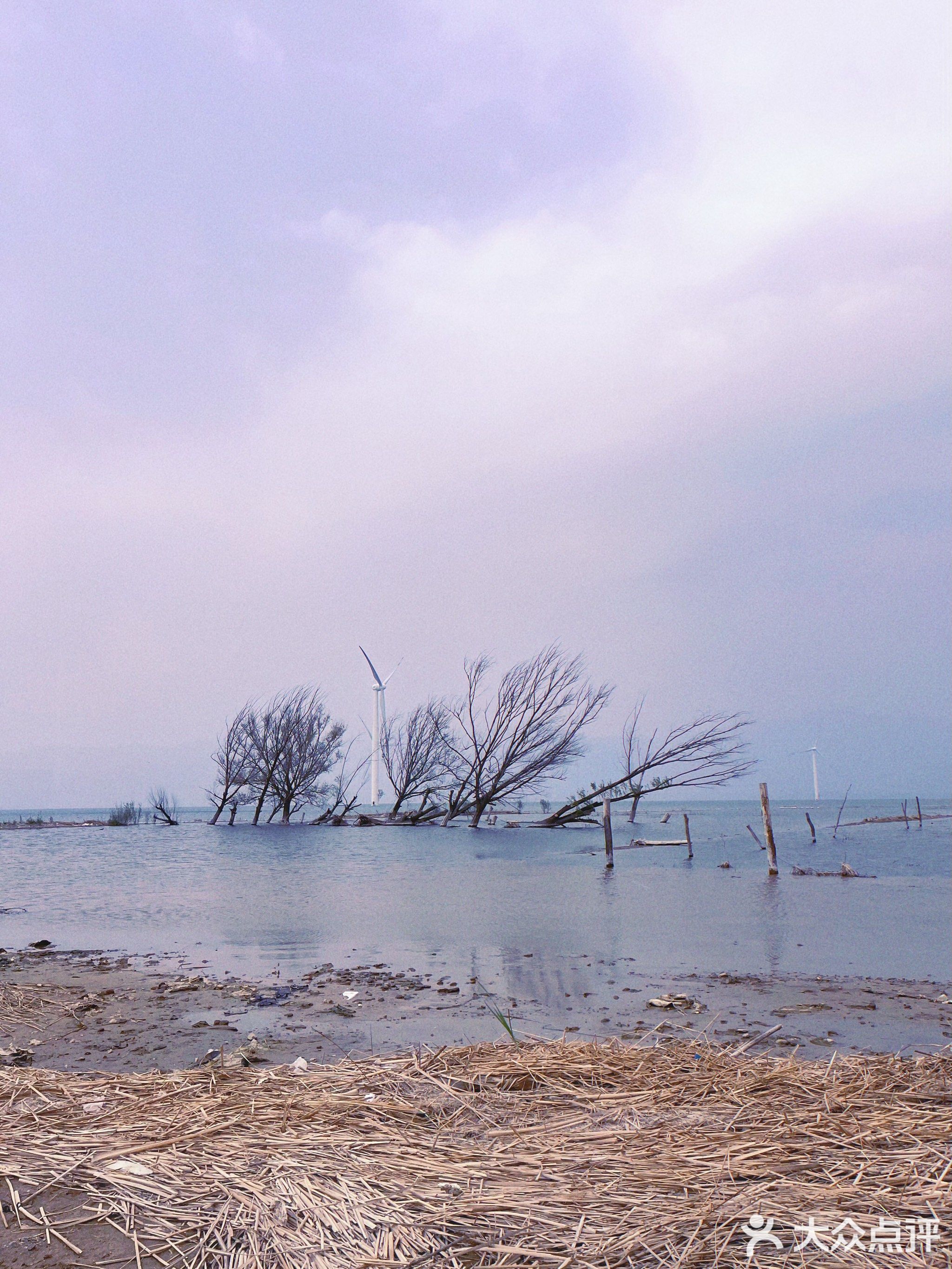 小水洼野骑基地