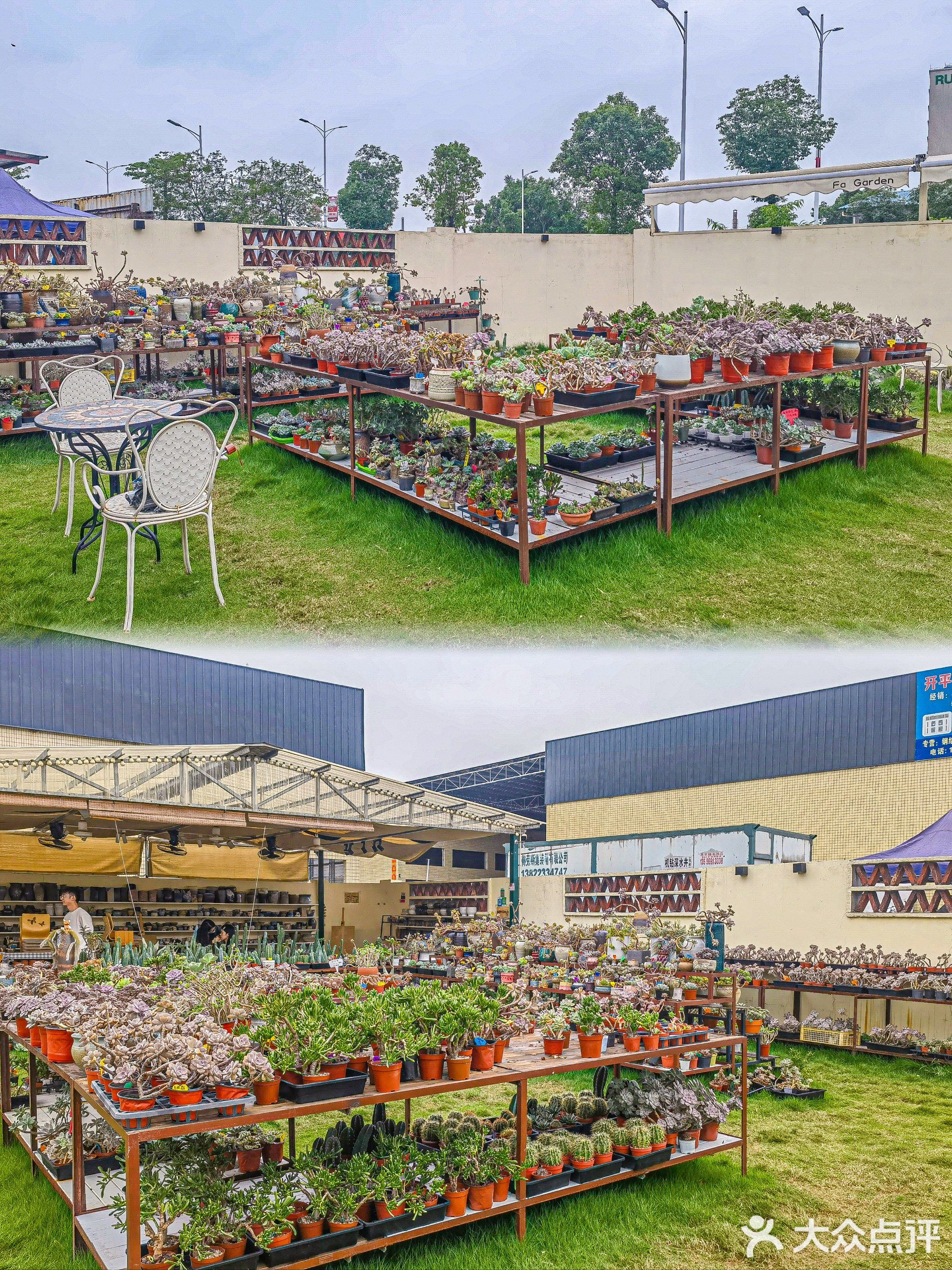 开平市花时间多肉植物园