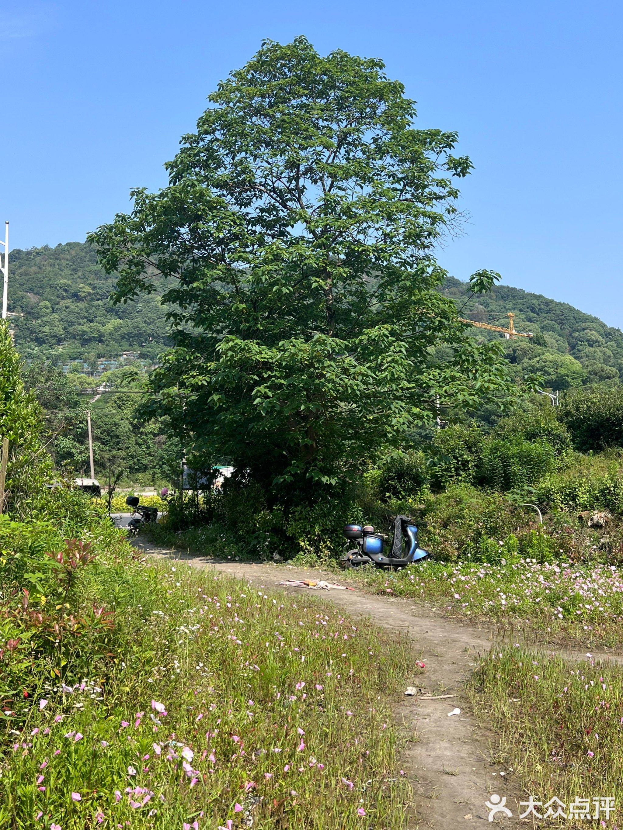 湘湖足球场(滨江足协训练基地)