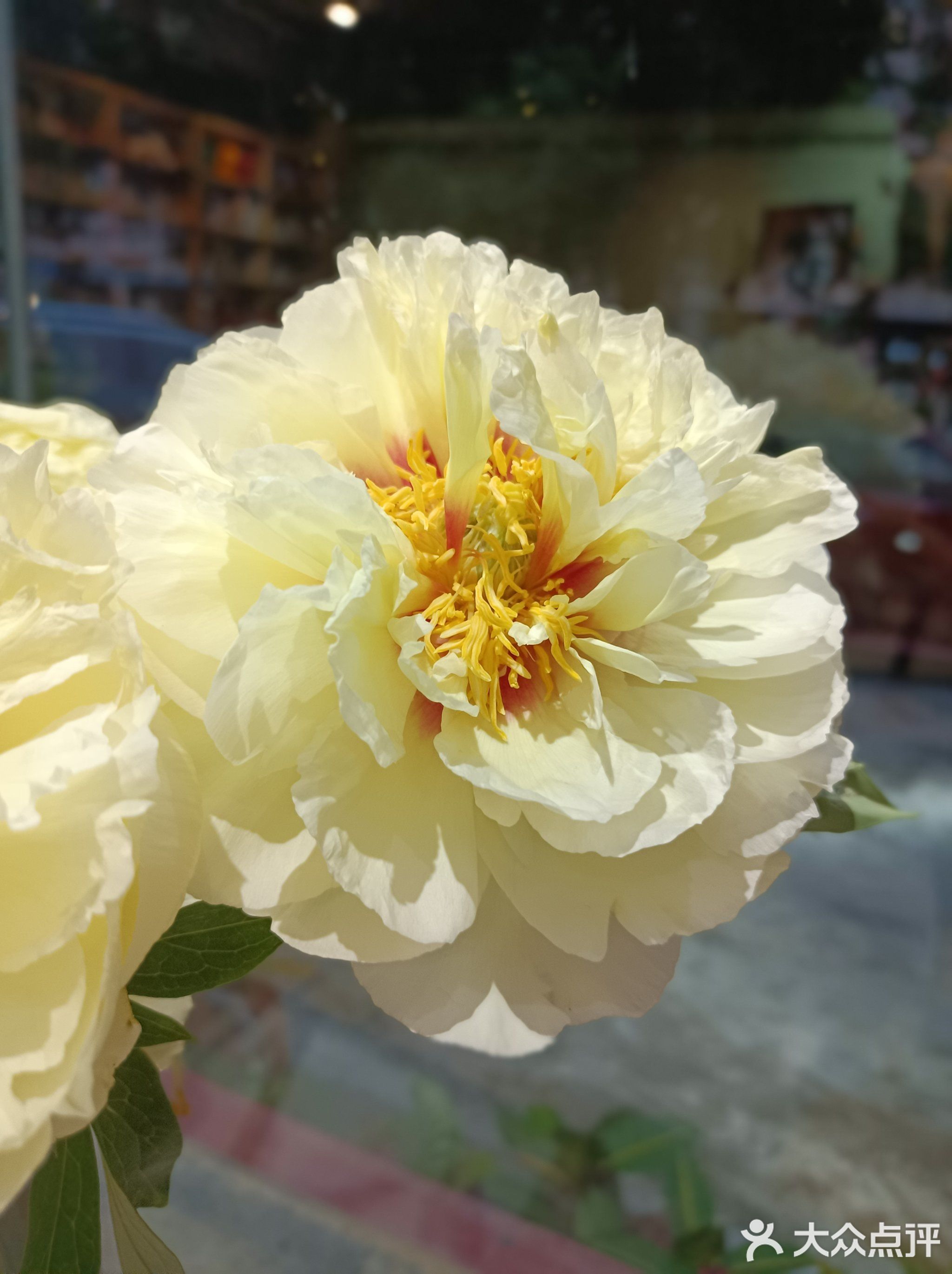Tour cafe·咖啡·书吧·简餐(文园中学店)