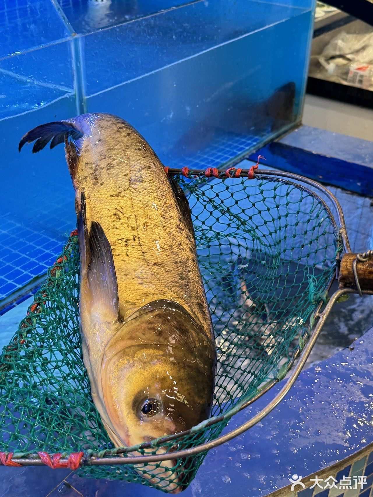 骨浪鱼铁锅炖(义乌总店)