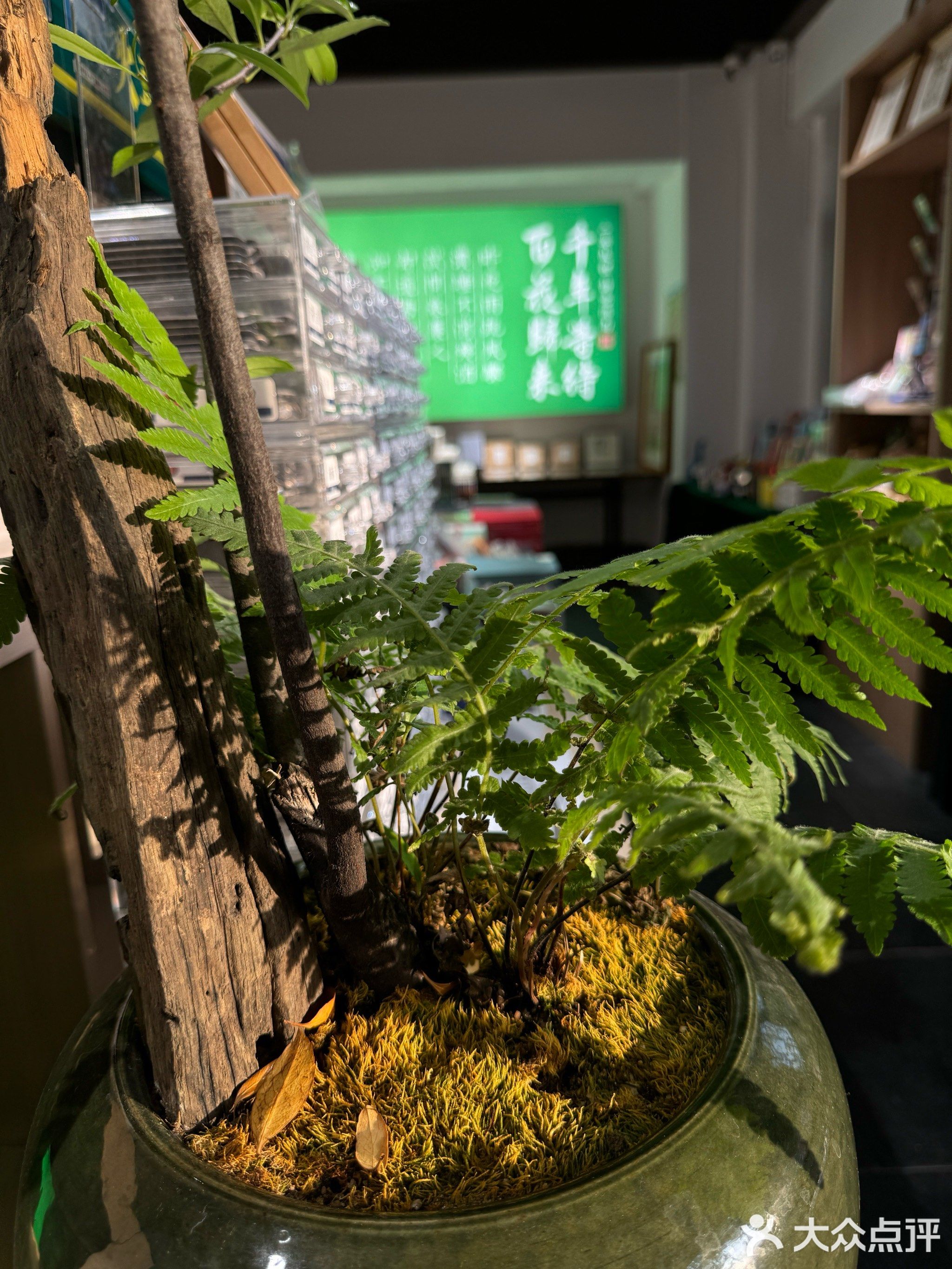 阡陌书店(百花洲店)