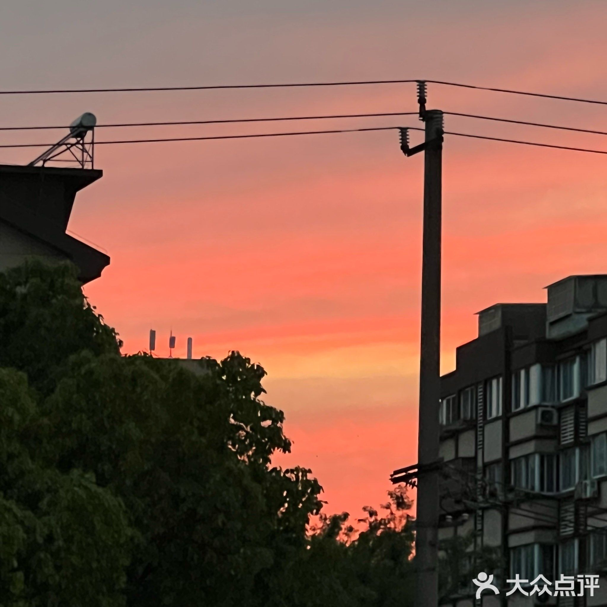 书旅人