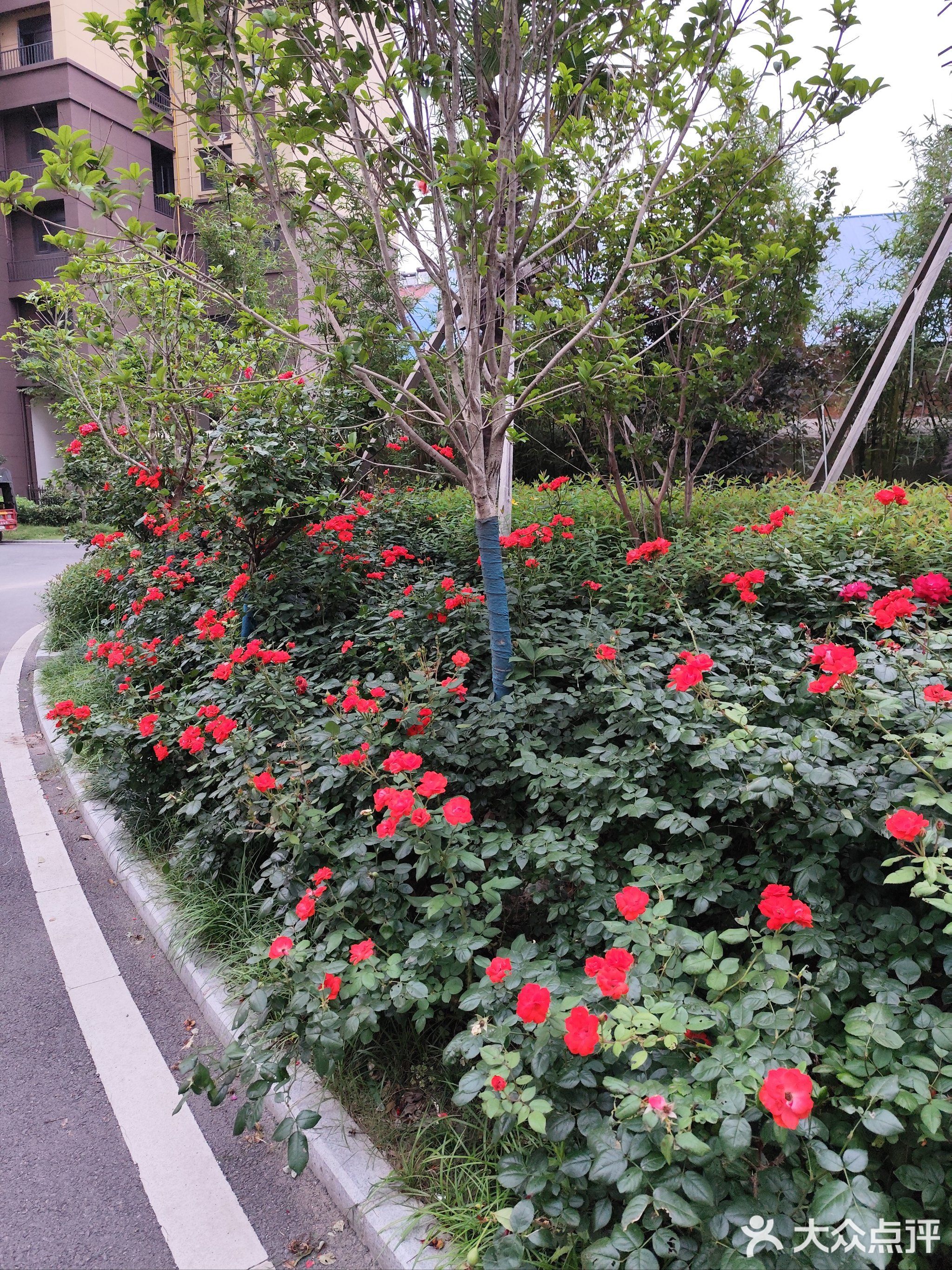 惠丰广场