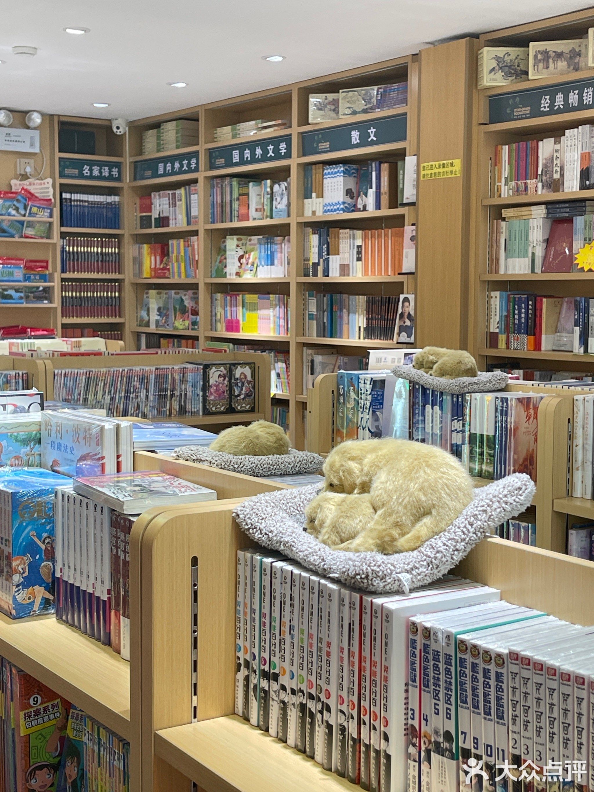 星星草书屋(下角中路店)