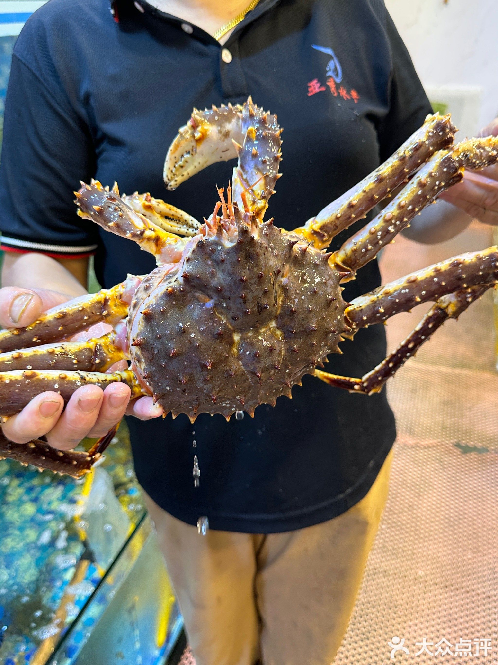 亚秀水产店(八市店)