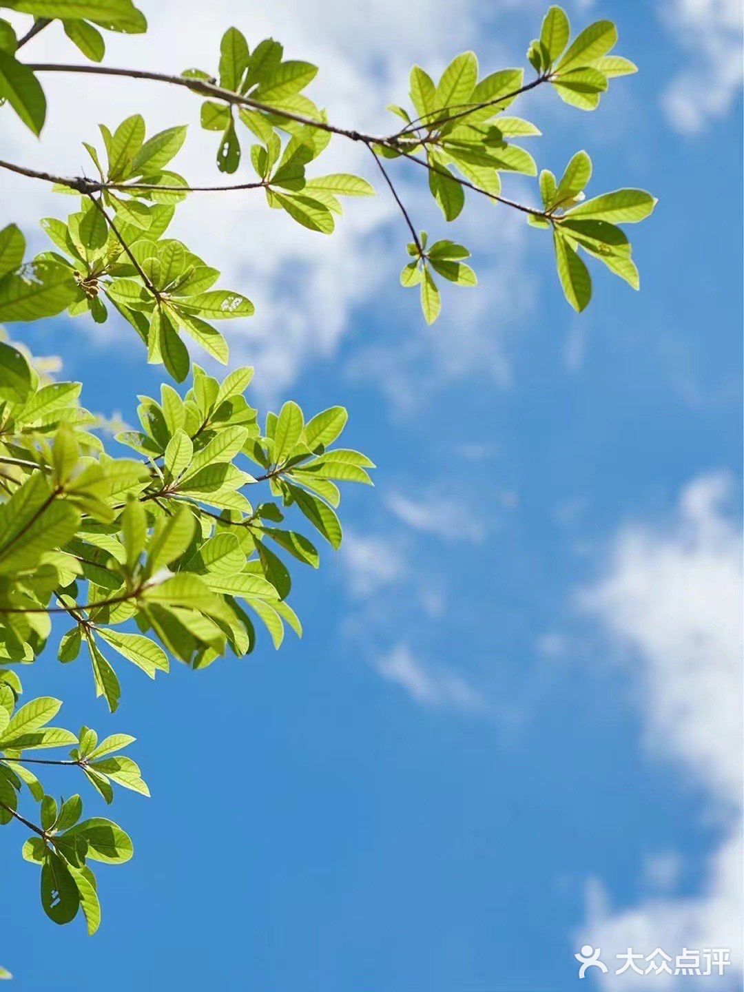 水天辰·足疗·SPA会所(普宁店)