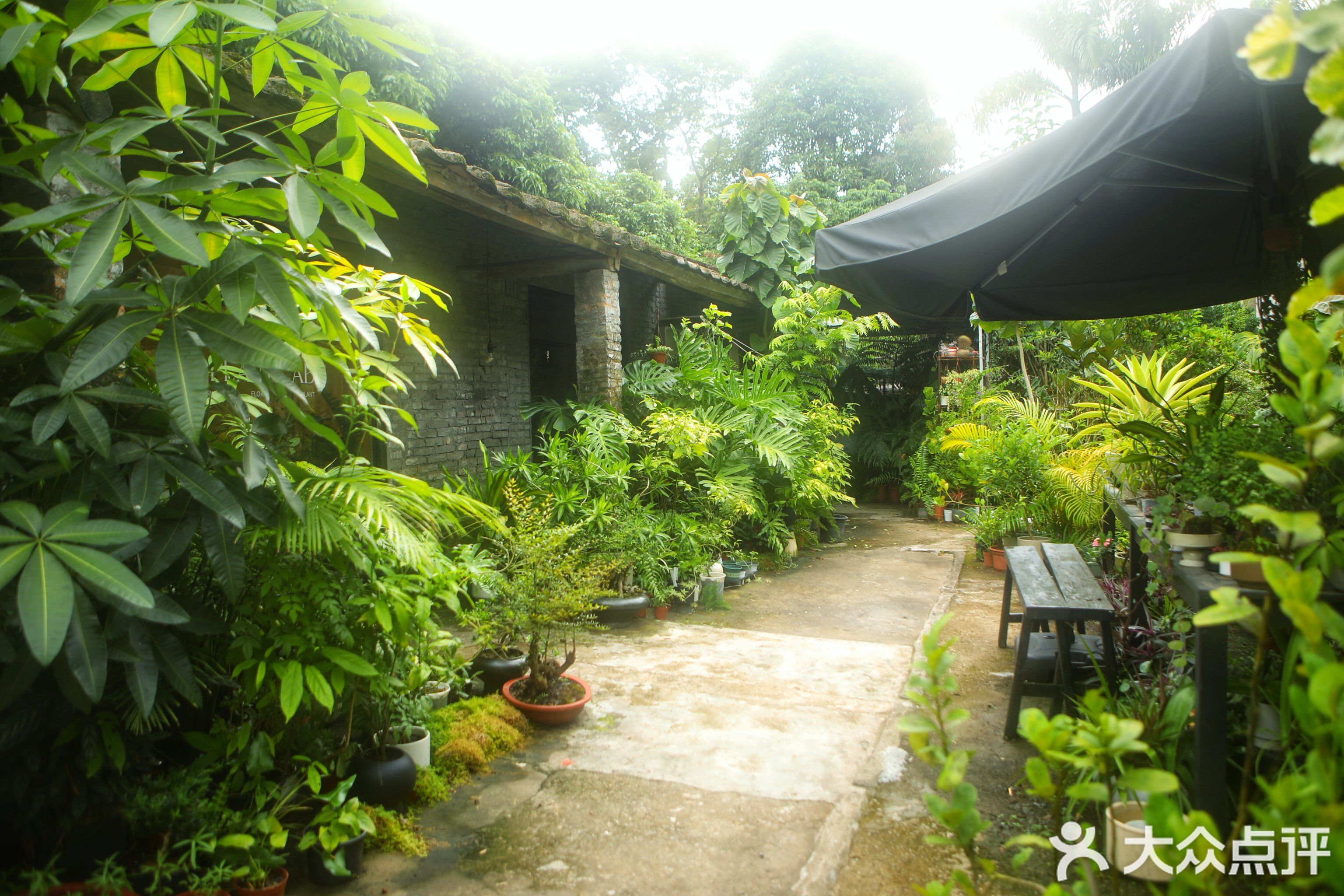 凉子植物研究所